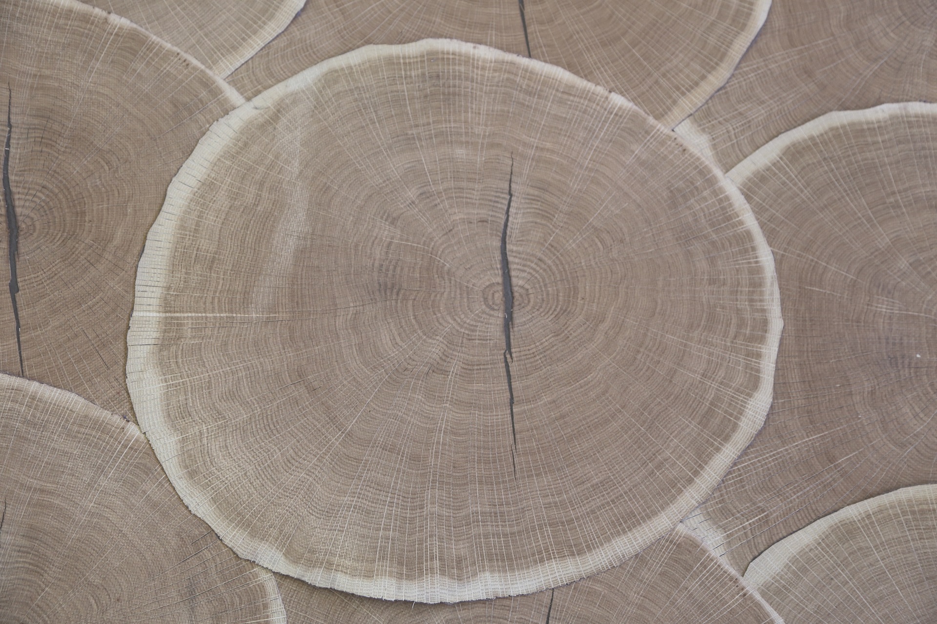 Global Wood s.r.o. foto 2