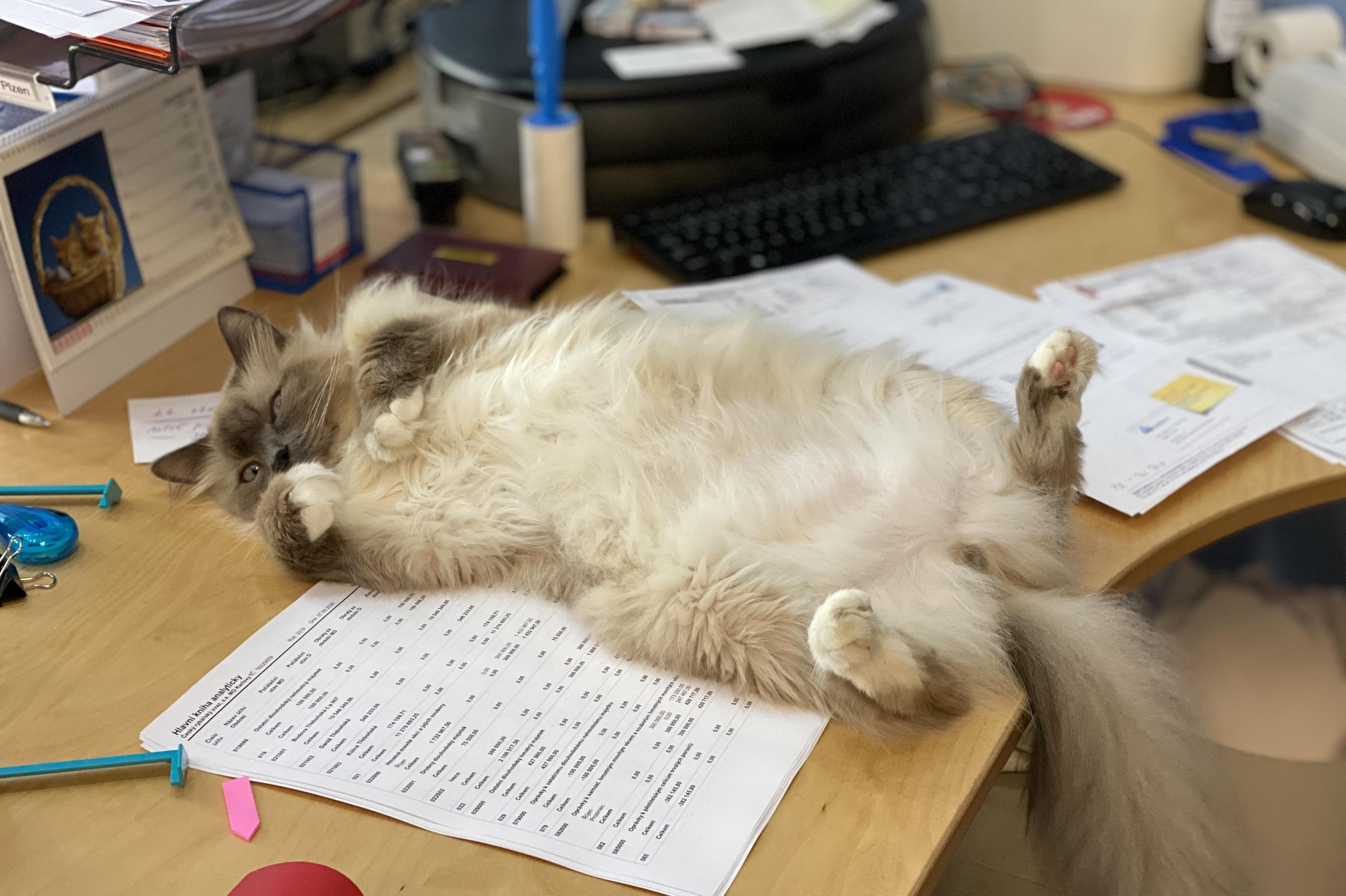 Účetní kancelář VaMa s.r.o.