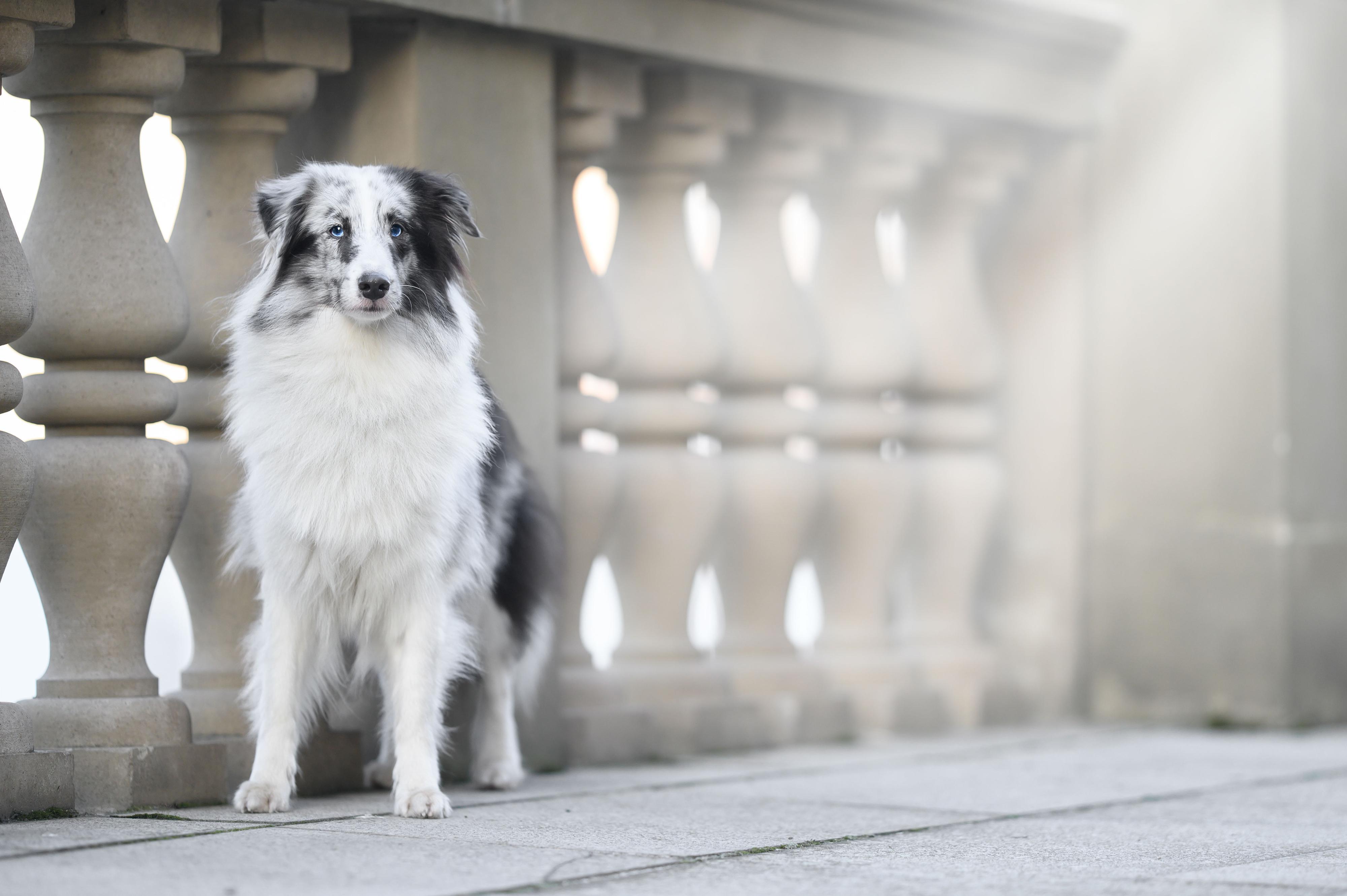 Foto Pavlína foto 4