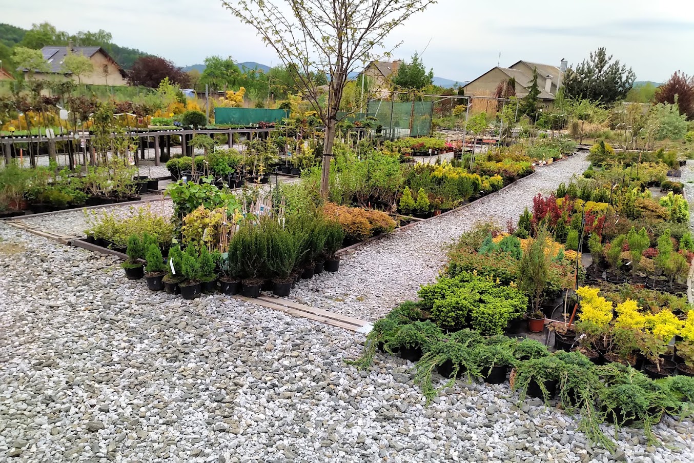 Okrasné zahradnictví Benjamina