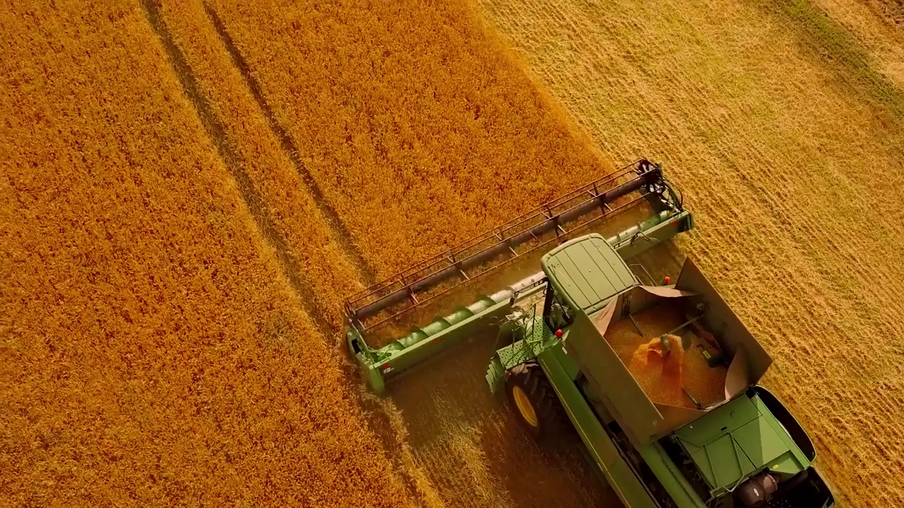 DERATOR - deratizace, dezinsekce, dezinfekce foto 2 (náhled videa)