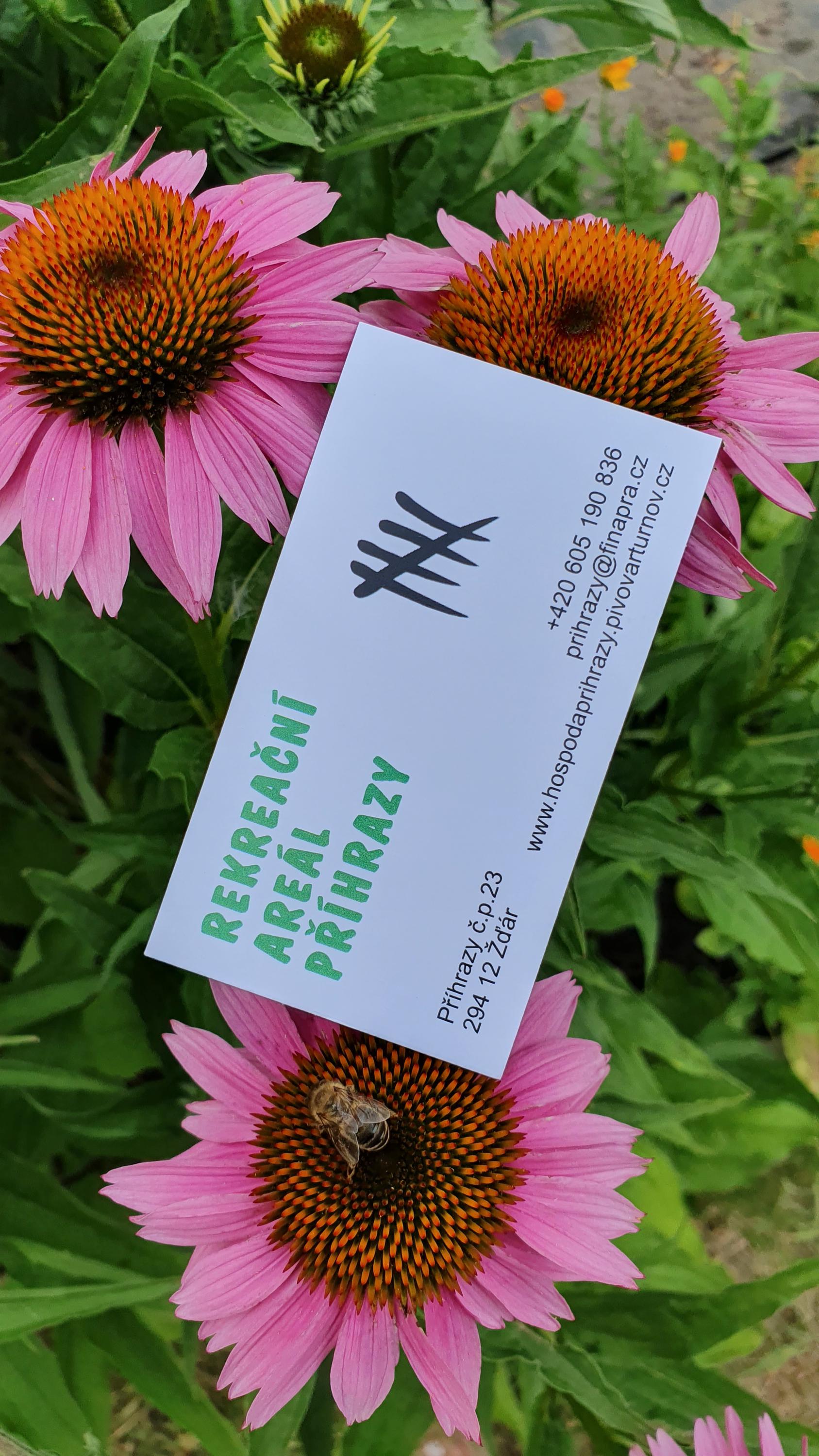 Rekreační areál Příhrazy foto 6