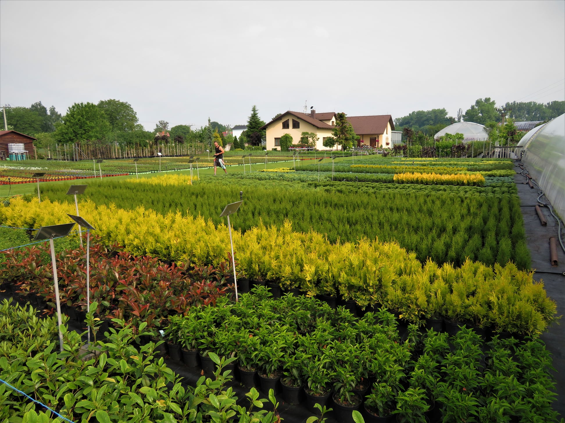 Zahradnictví Hrabík foto 3