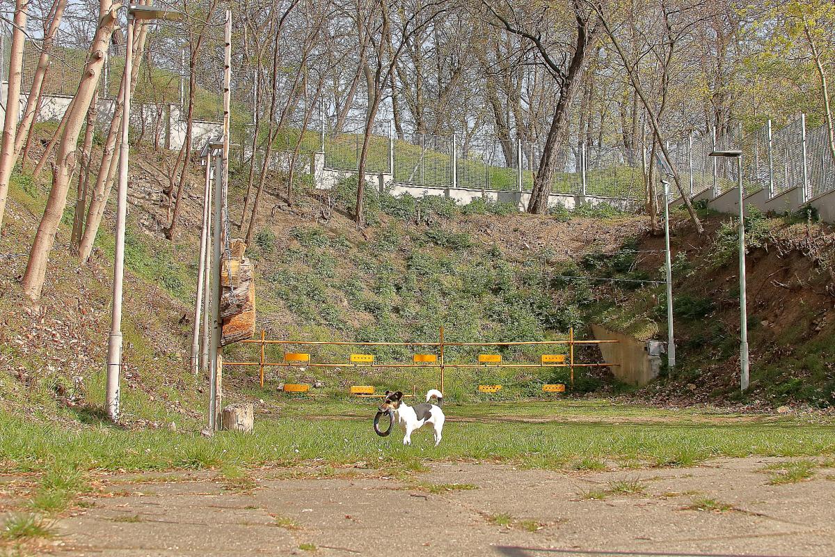 Klub biatlonu a střelnice Kapslovna foto 4