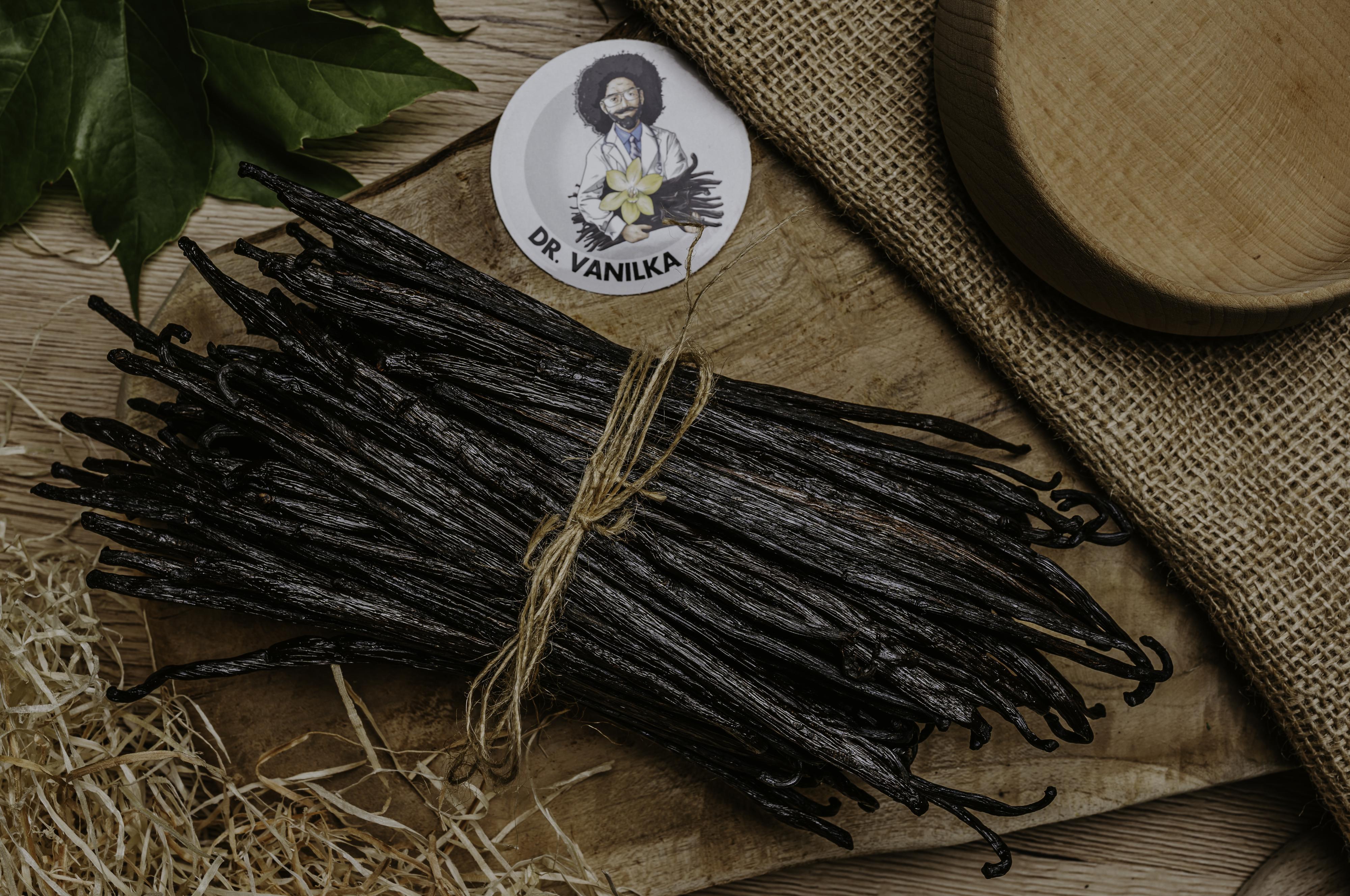Dr. Vanilka