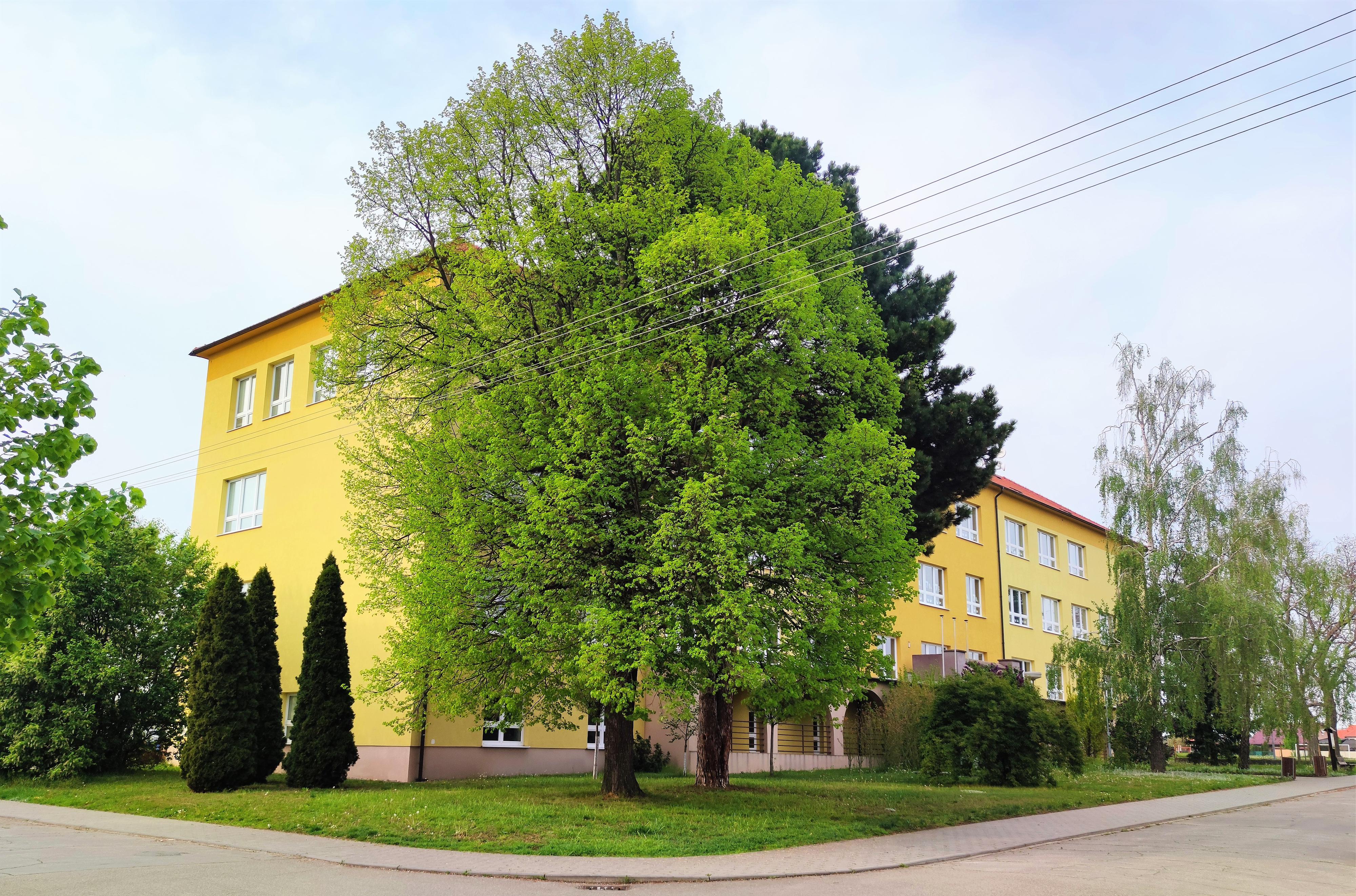 ZŠ a MŠ Joži Uprky Hroznová Lhota foto 3