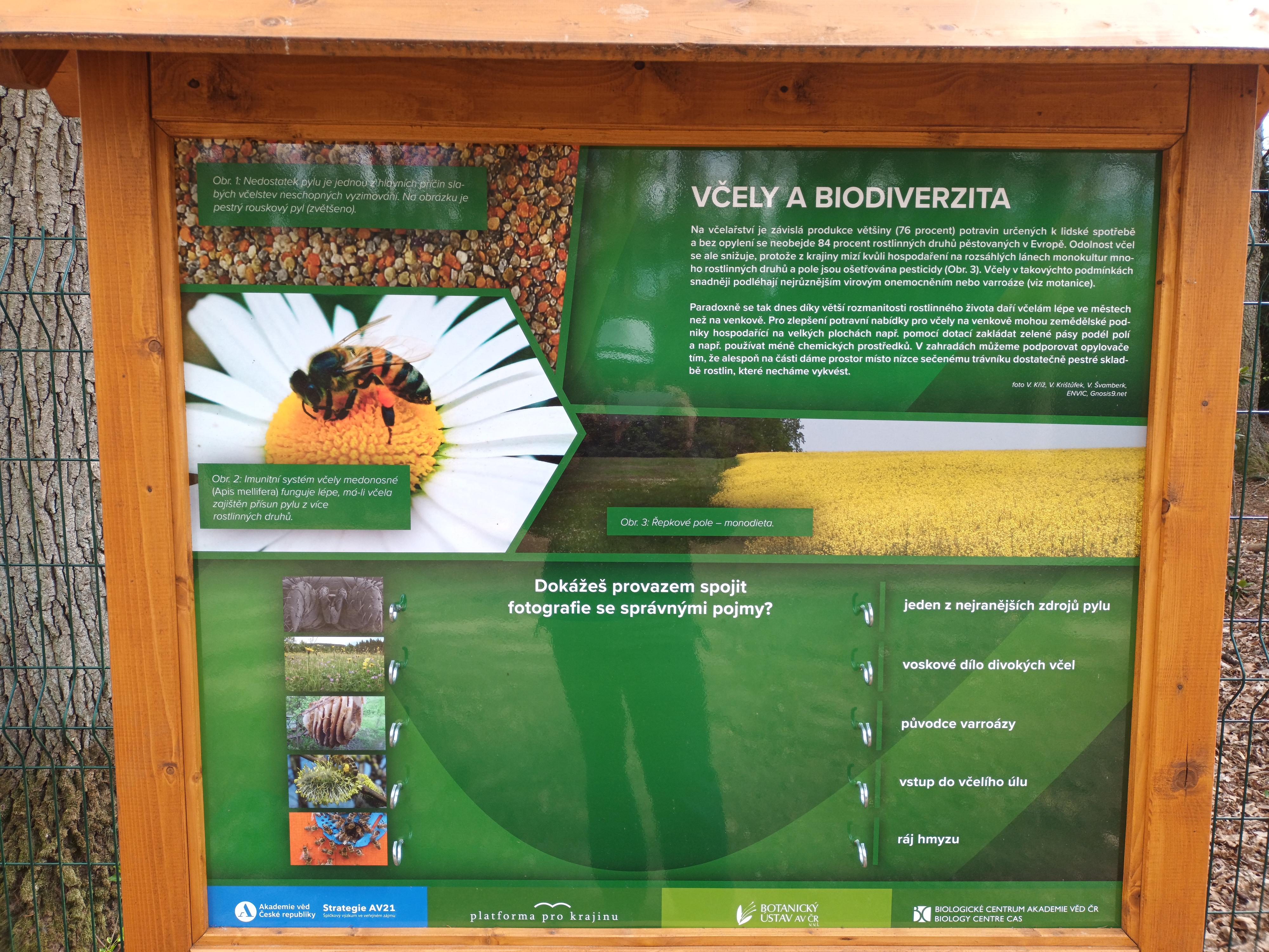 Botanický ústav AV ČR, v. v. i. foto 2
