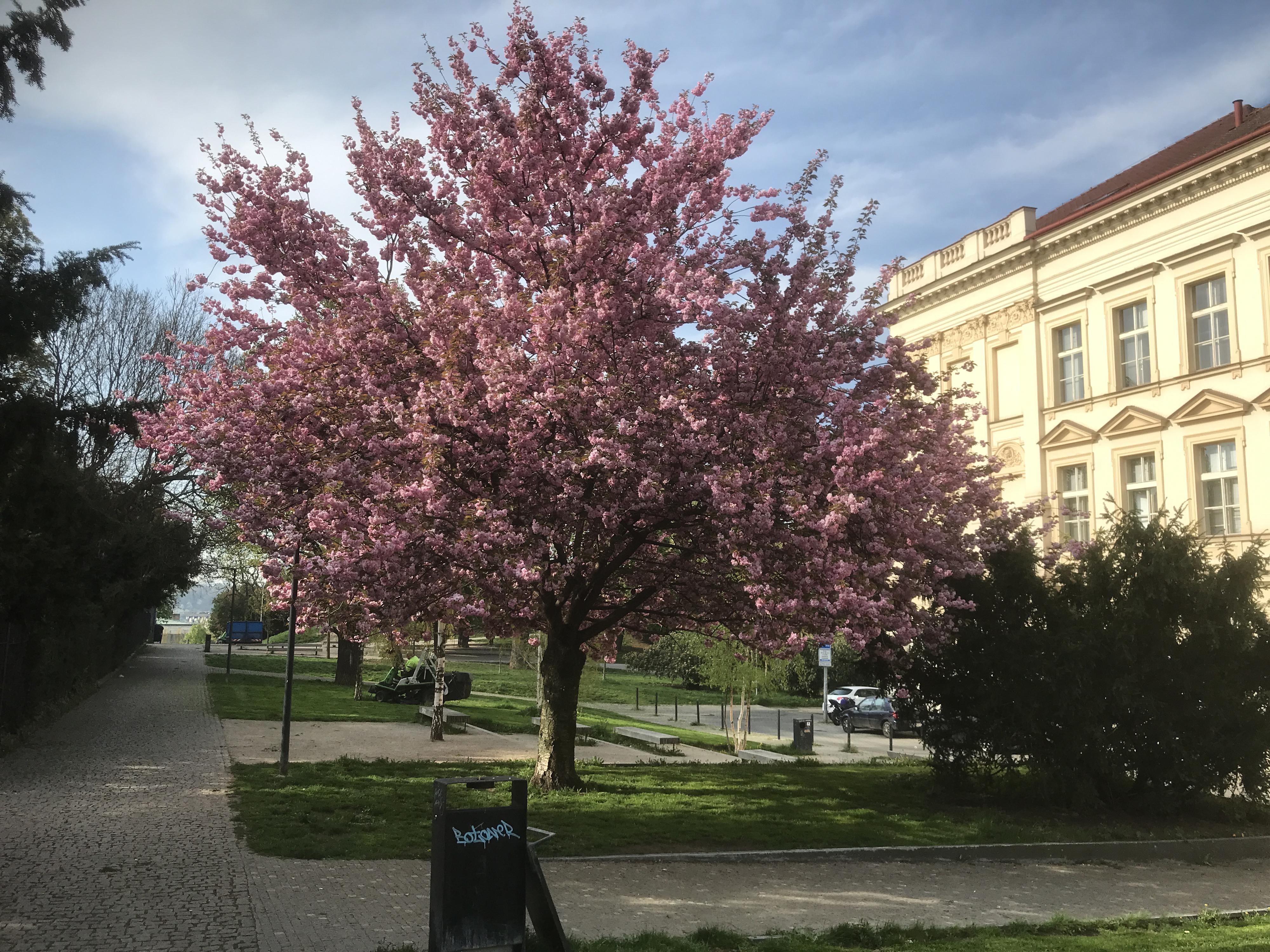 Vysoká škola finanční a správní, a.s. - VŠFS foto 3