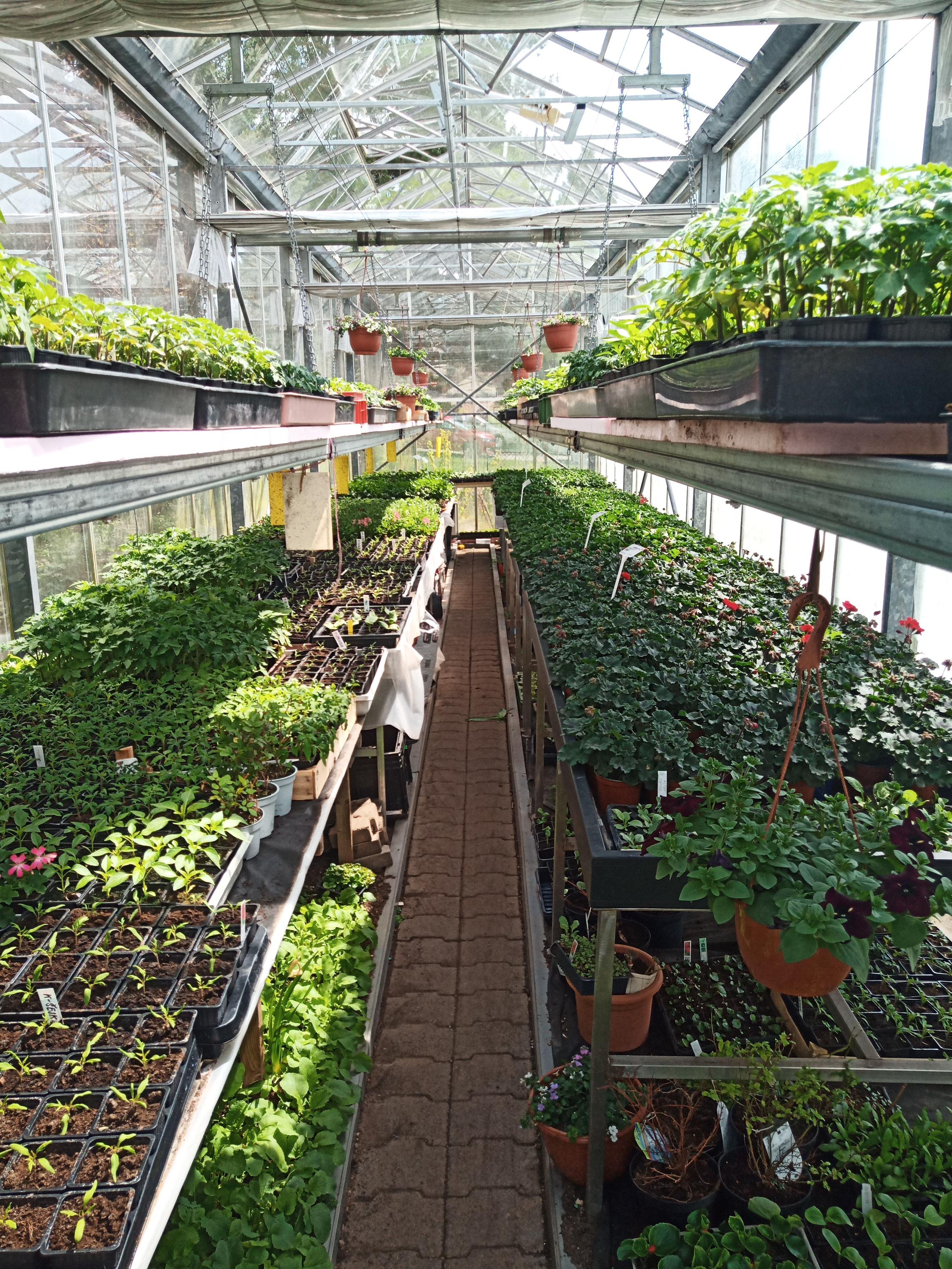 Zahradnictví u Jany foto 4