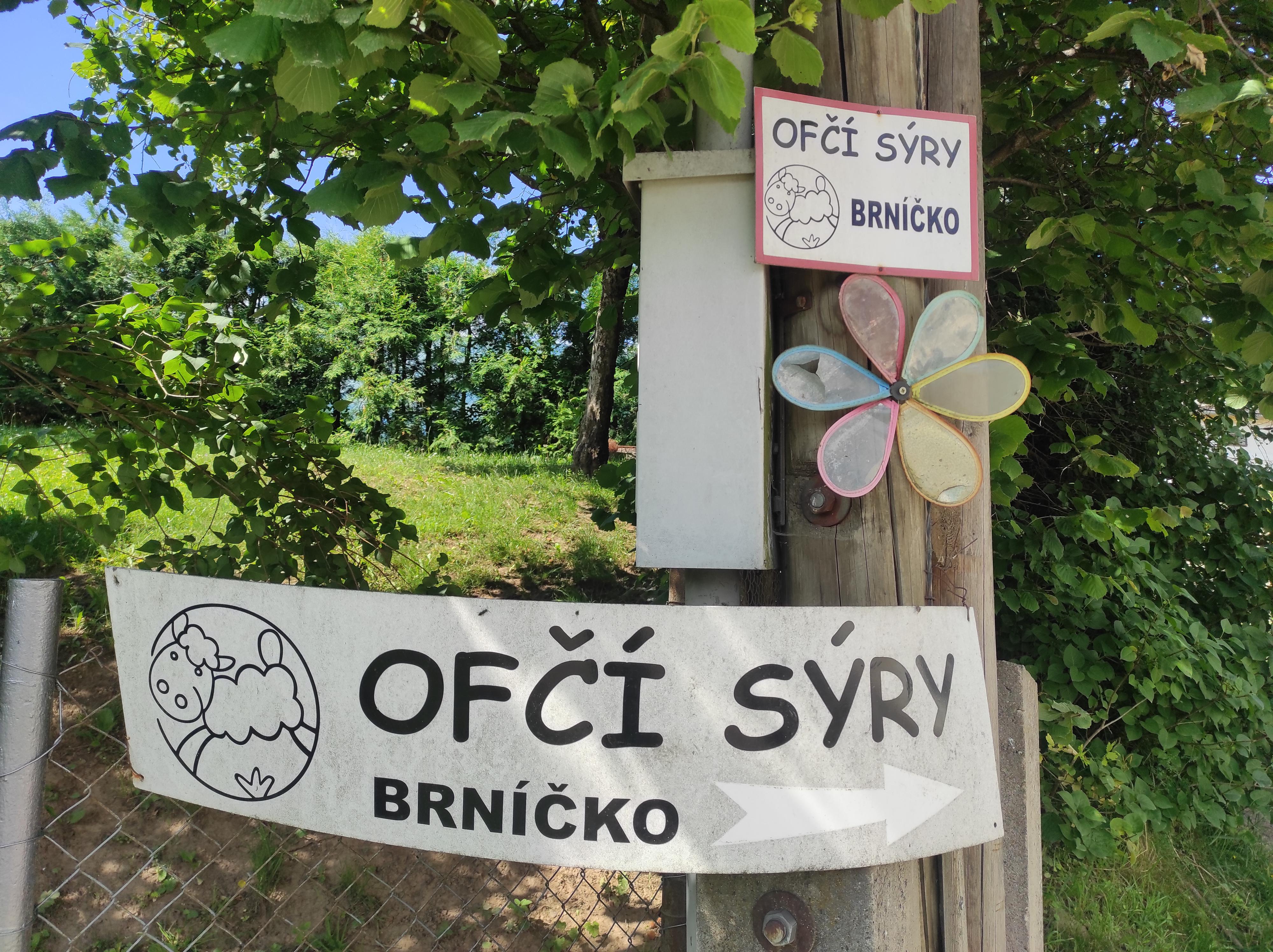 Ofčí sýry Brníčko foto 4