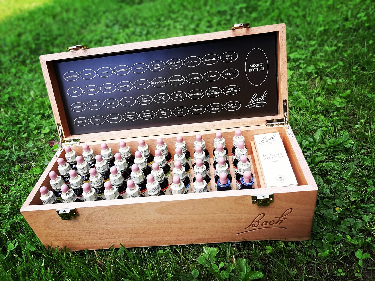 Terapie + Bachovy esence