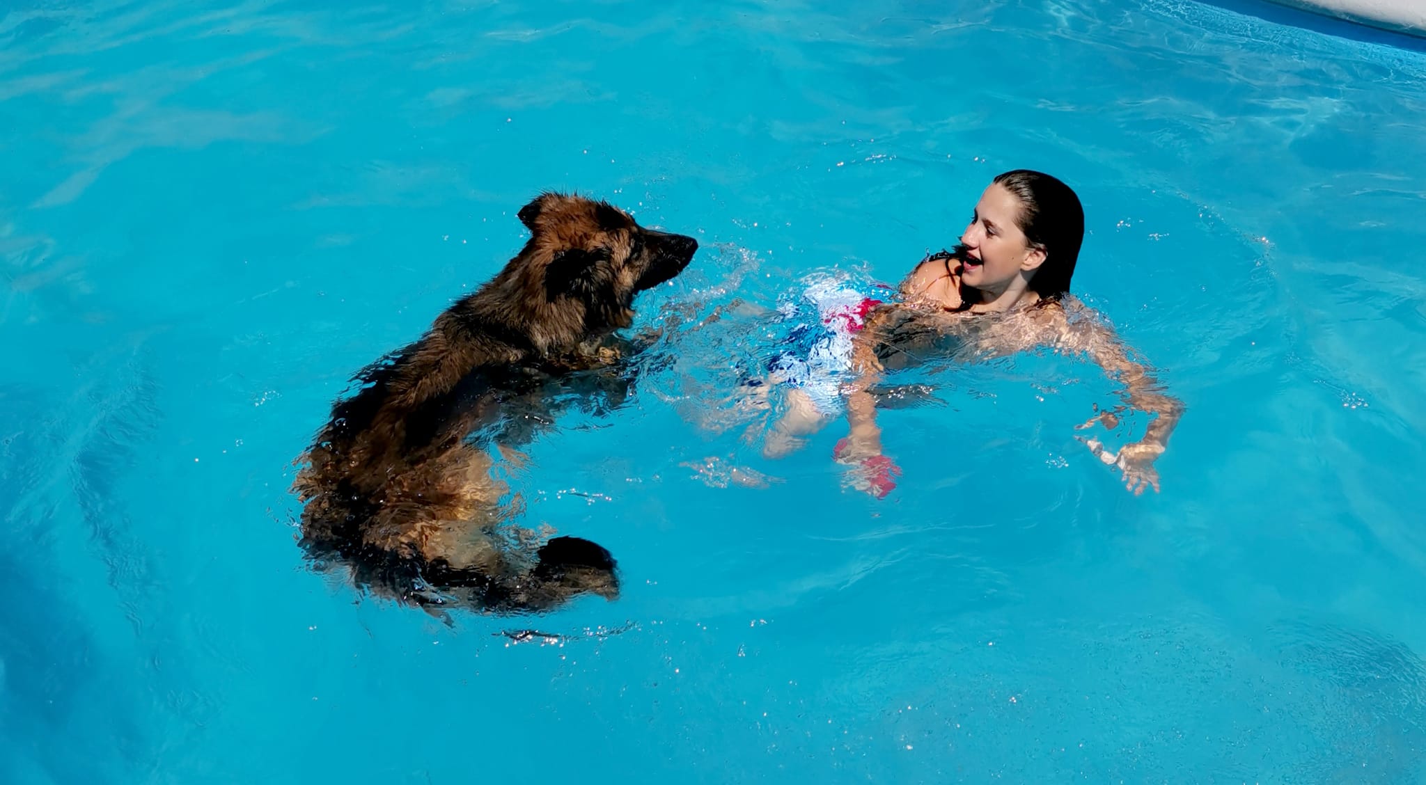 TLAPKOLAND - Psí hotel a školka foto 2