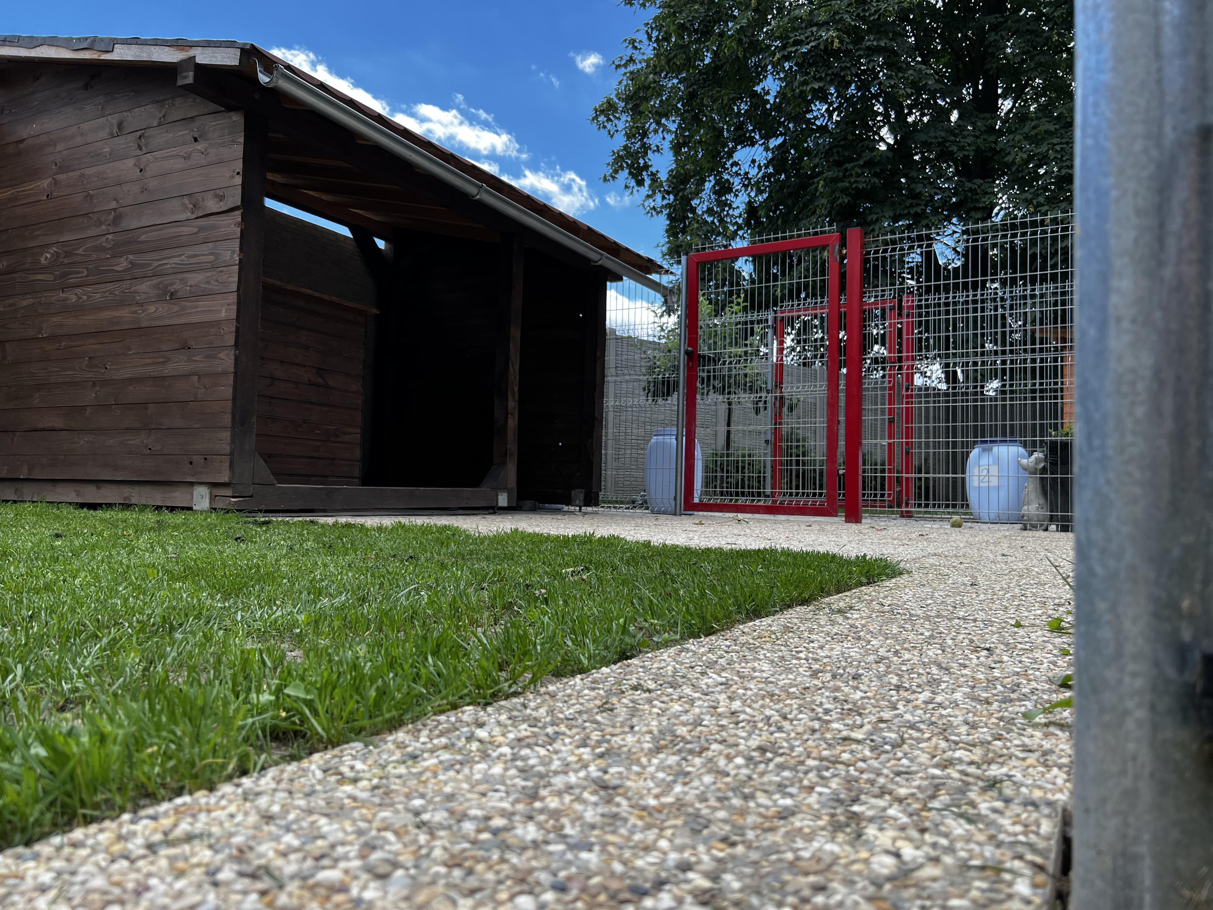 Chlupatá dovolená - Jan Kuča foto 2