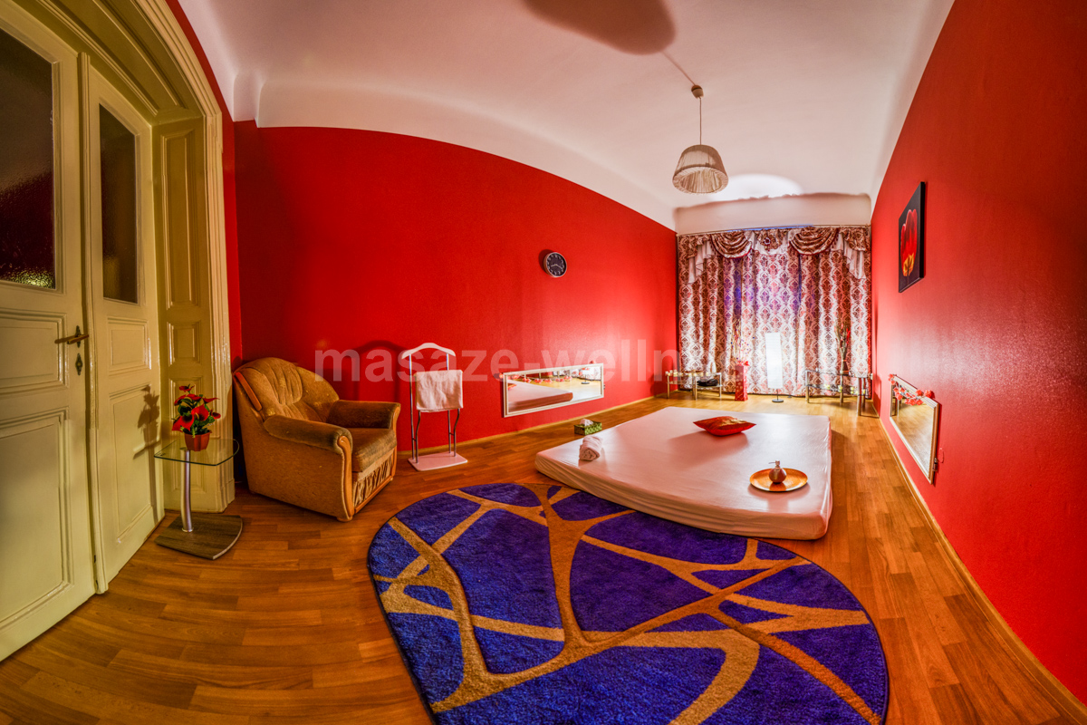 Erotické masáže wellness foto 3