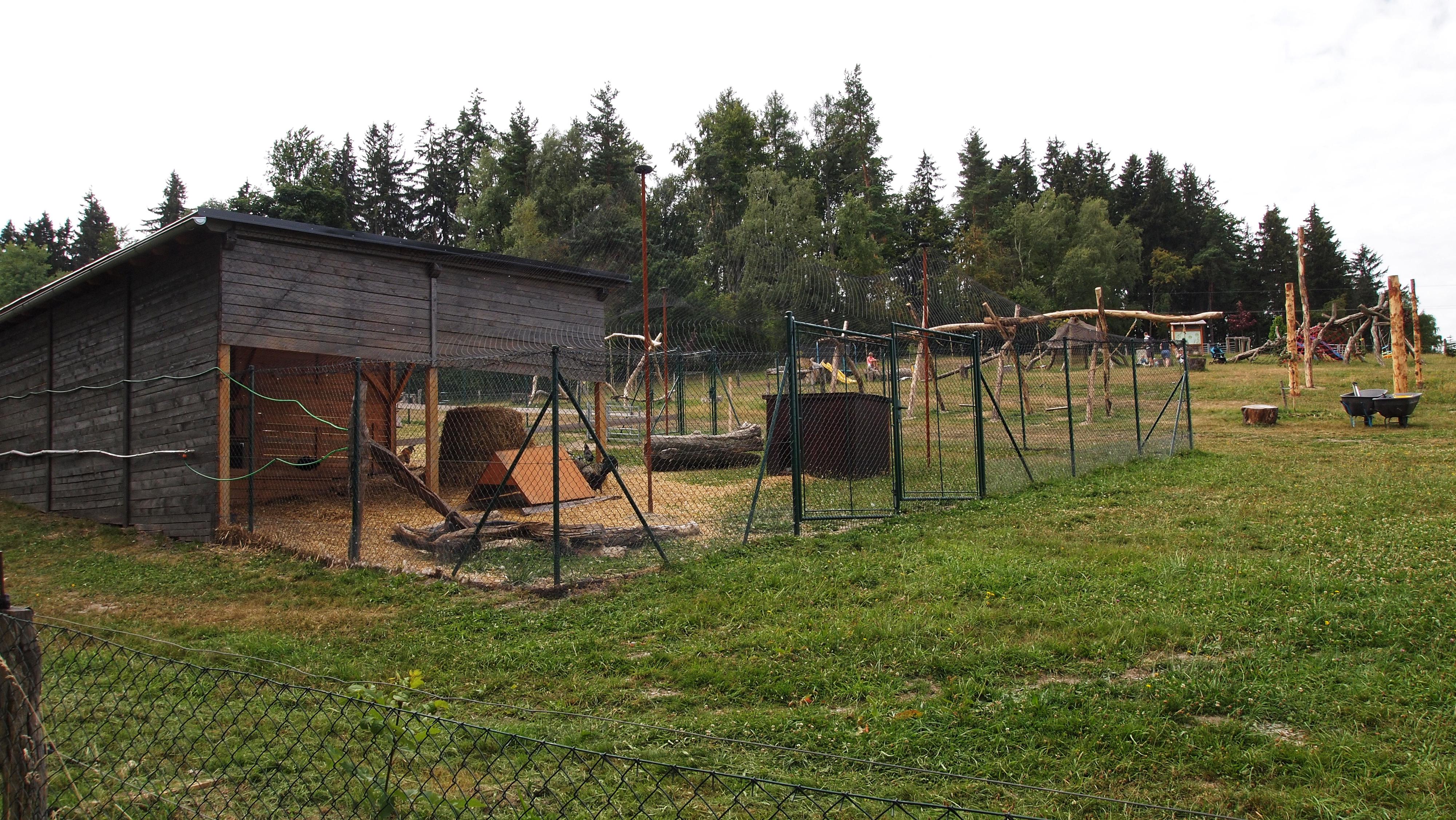Farma Little Farmers foto 5
