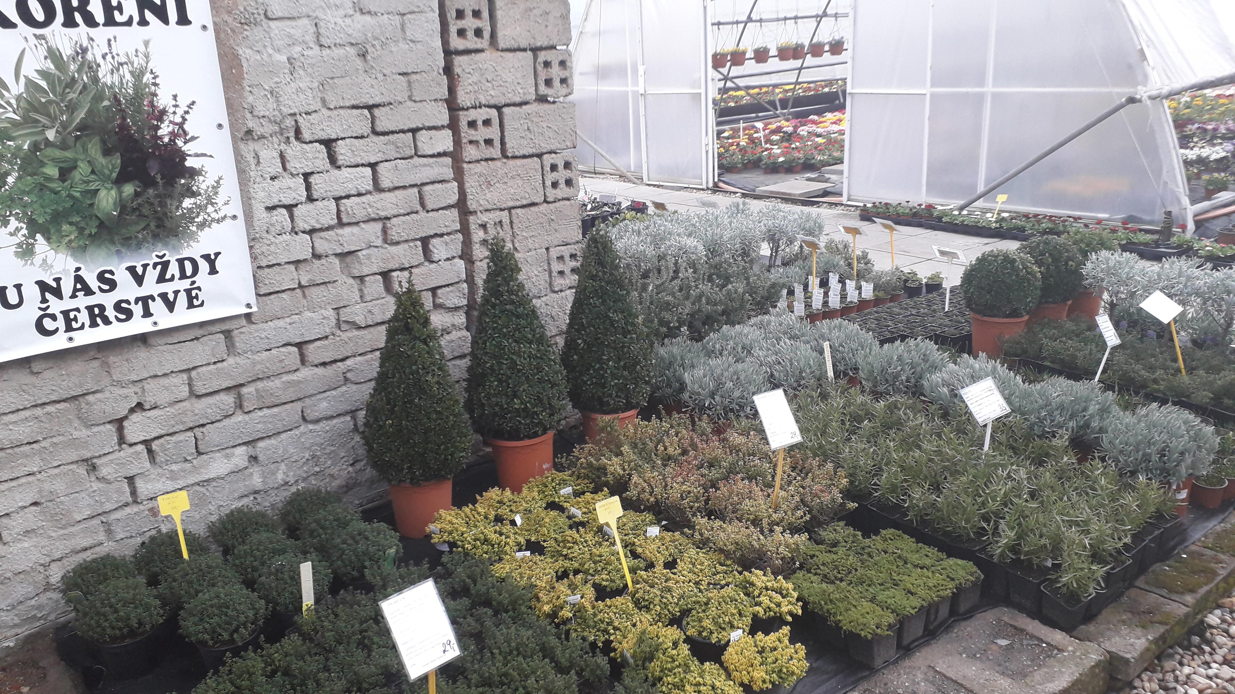 Zahradní centrum Skochovice foto 6