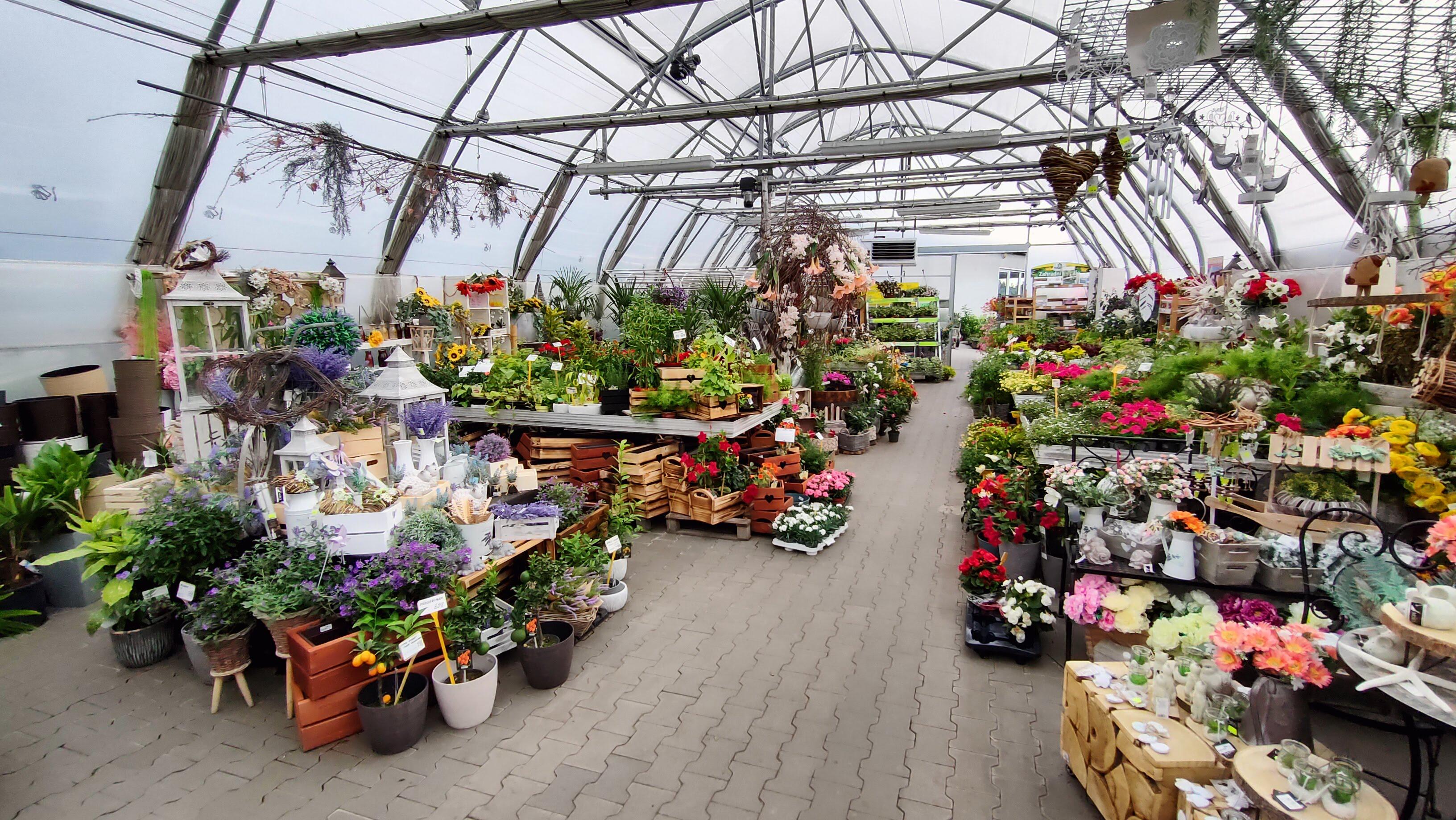 Zahradnictví Novák Hlučín s.r.o. foto 5