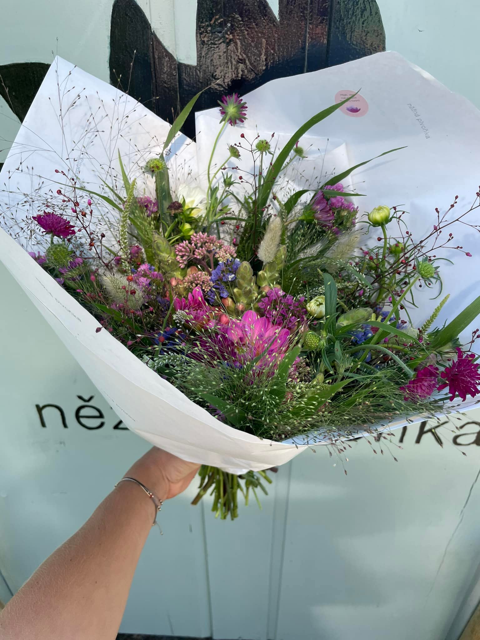 Něžná Pivoňka foto 2