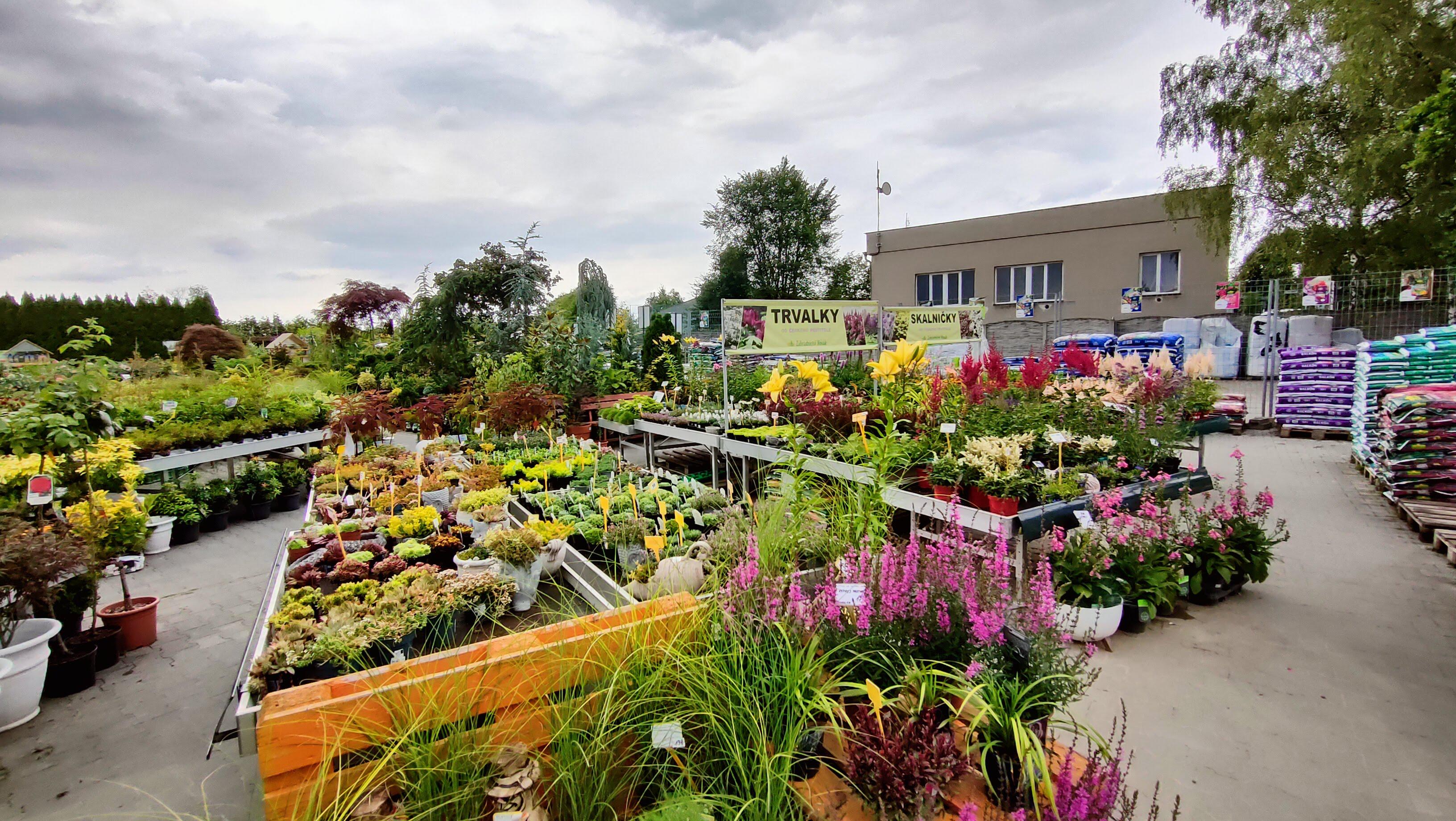 Zahradnictví Novák Hlučín s.r.o. foto 3