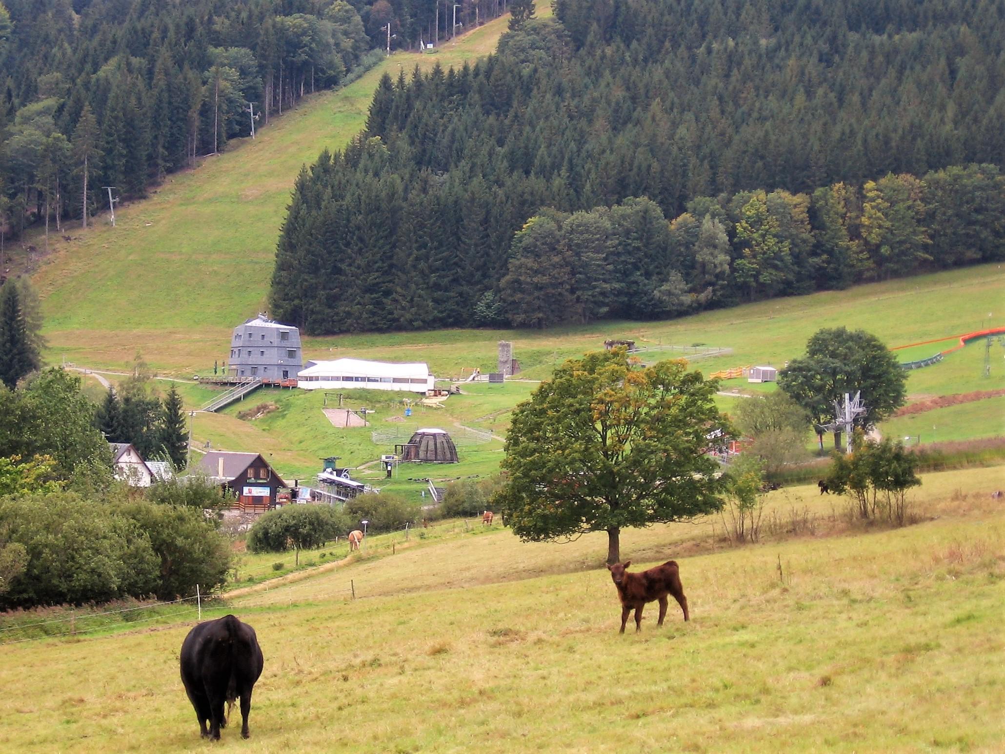 Penzion Kraličák foto 6