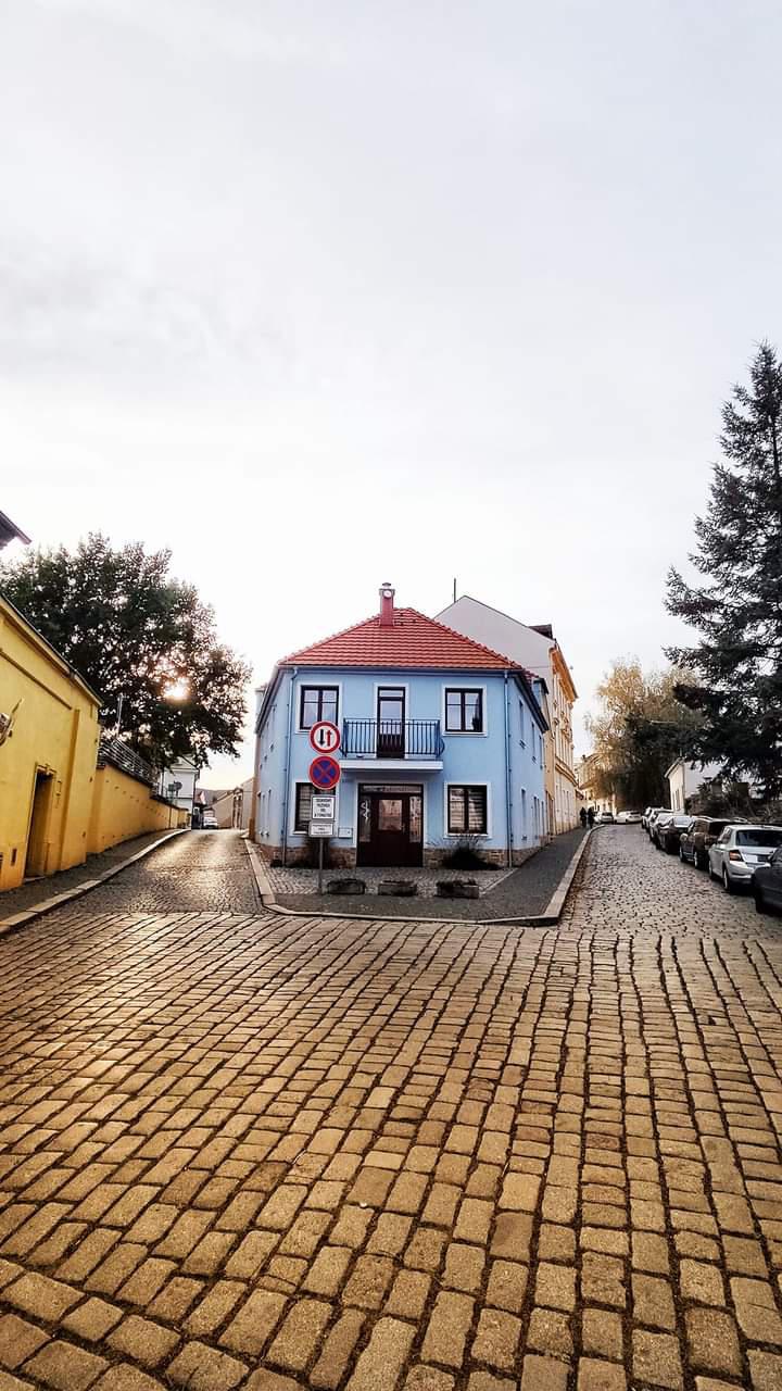 MUDr. Tatiana Brejšová foto 3