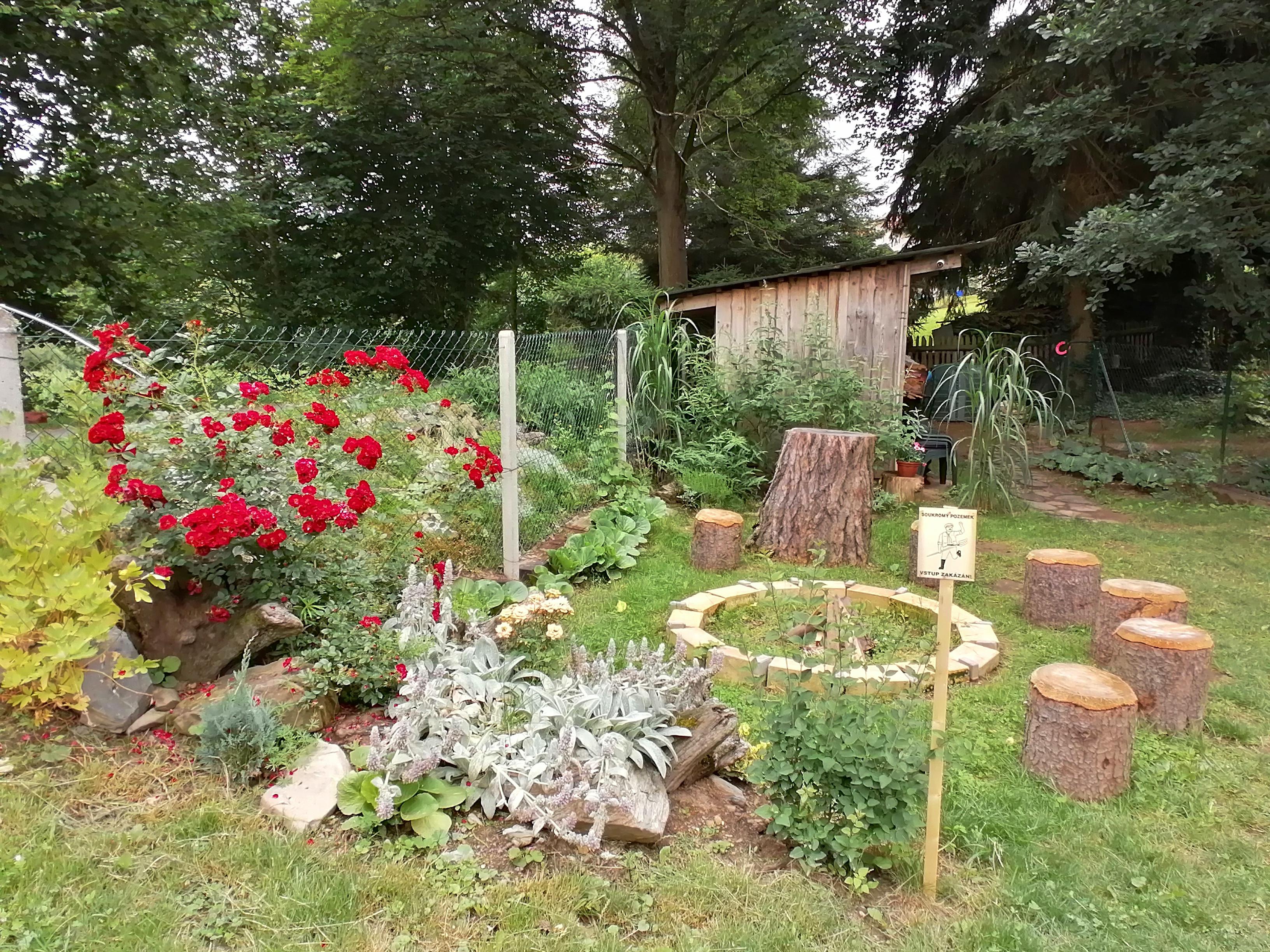 Zmrzlina z Ryšína foto 4