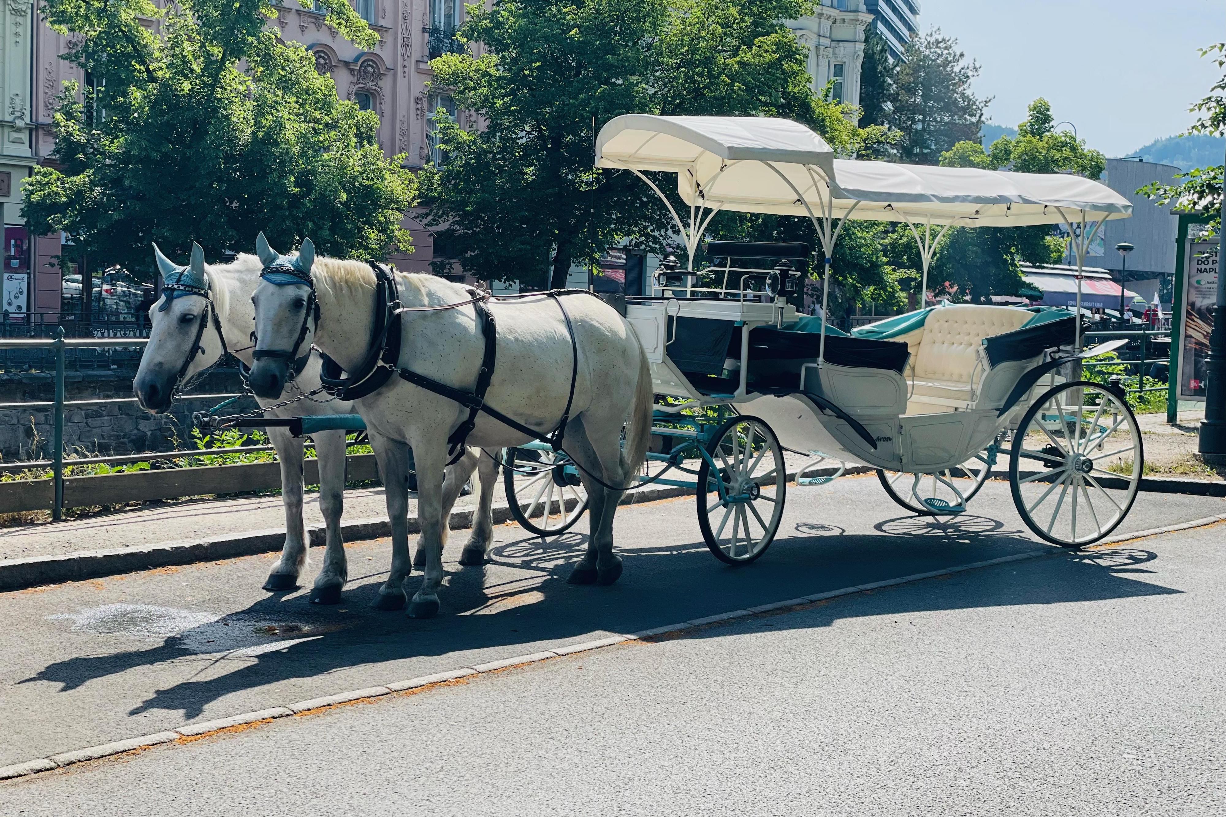 Kočárová doprava Martin Chocholouš