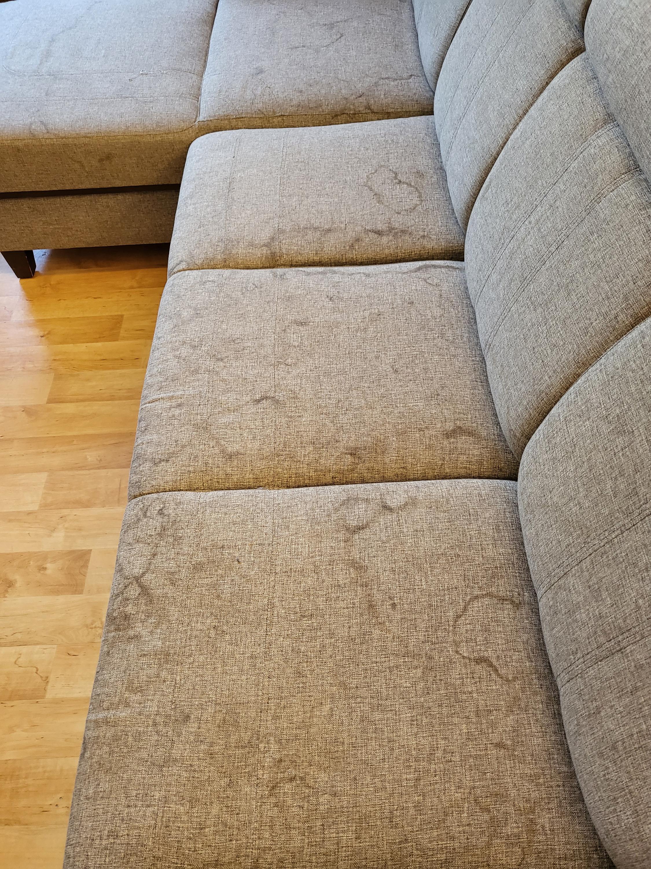 Profi čištění koberců Martina foto 2