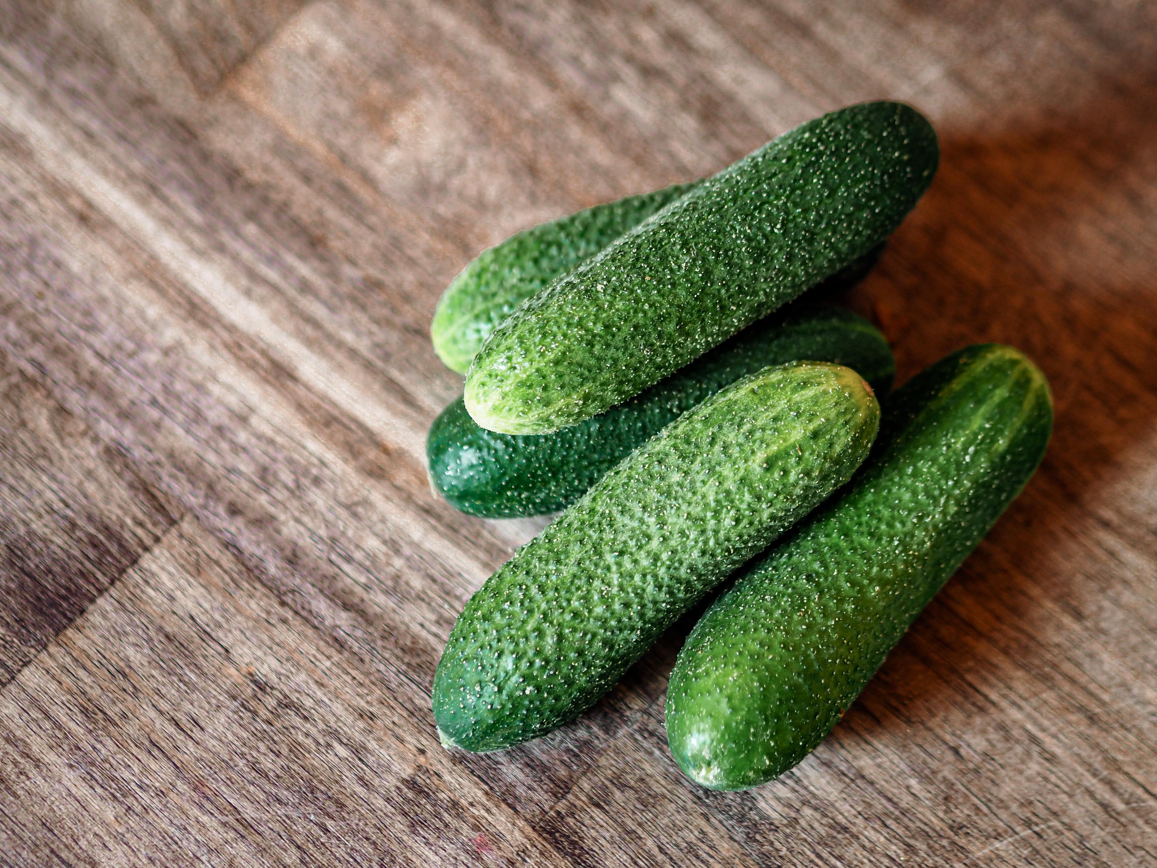 Prodejna Farma Novák foto 5