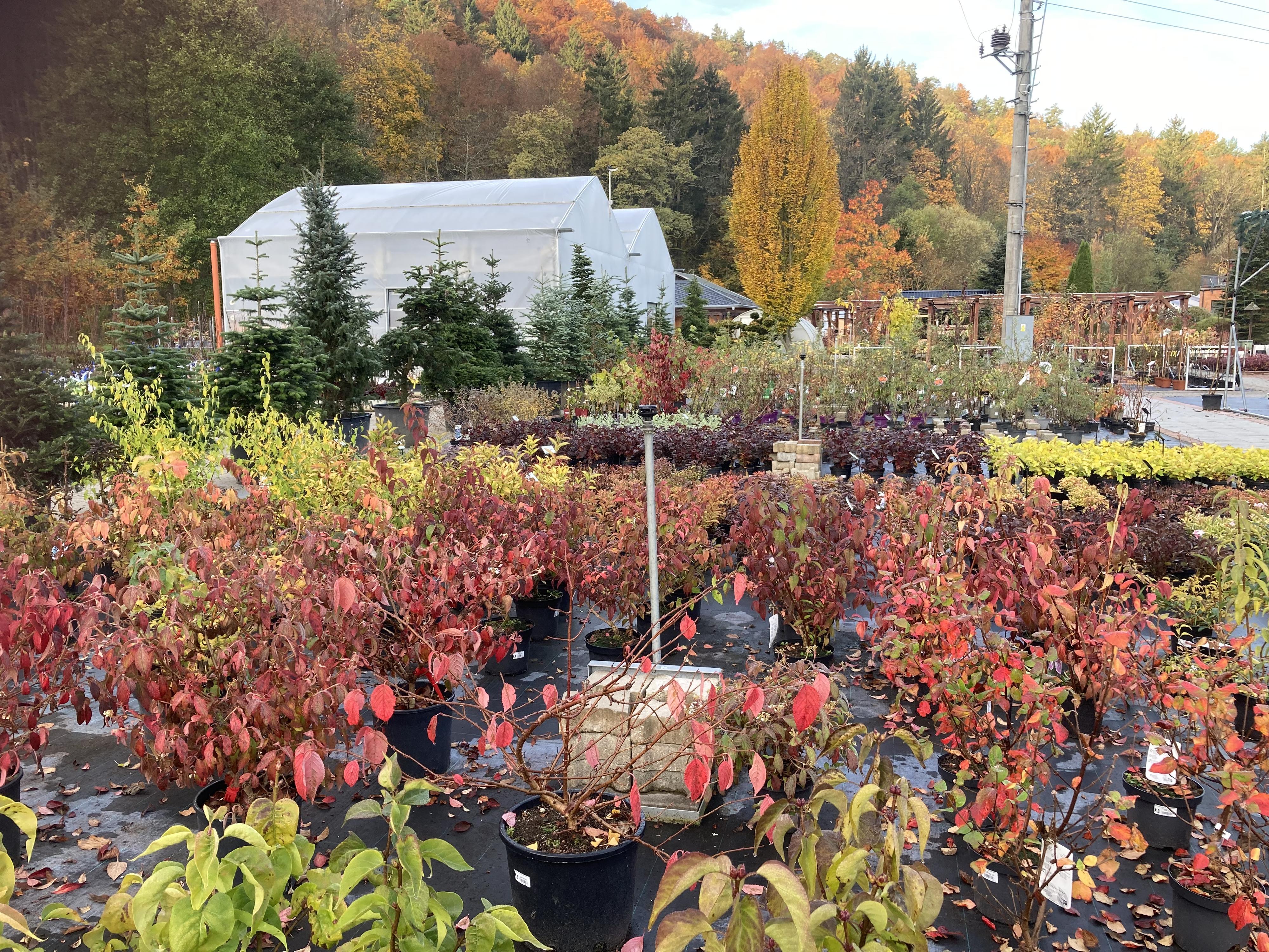 ZAHRADNICTVÍ KRUMLOV, s.r.o. foto 5