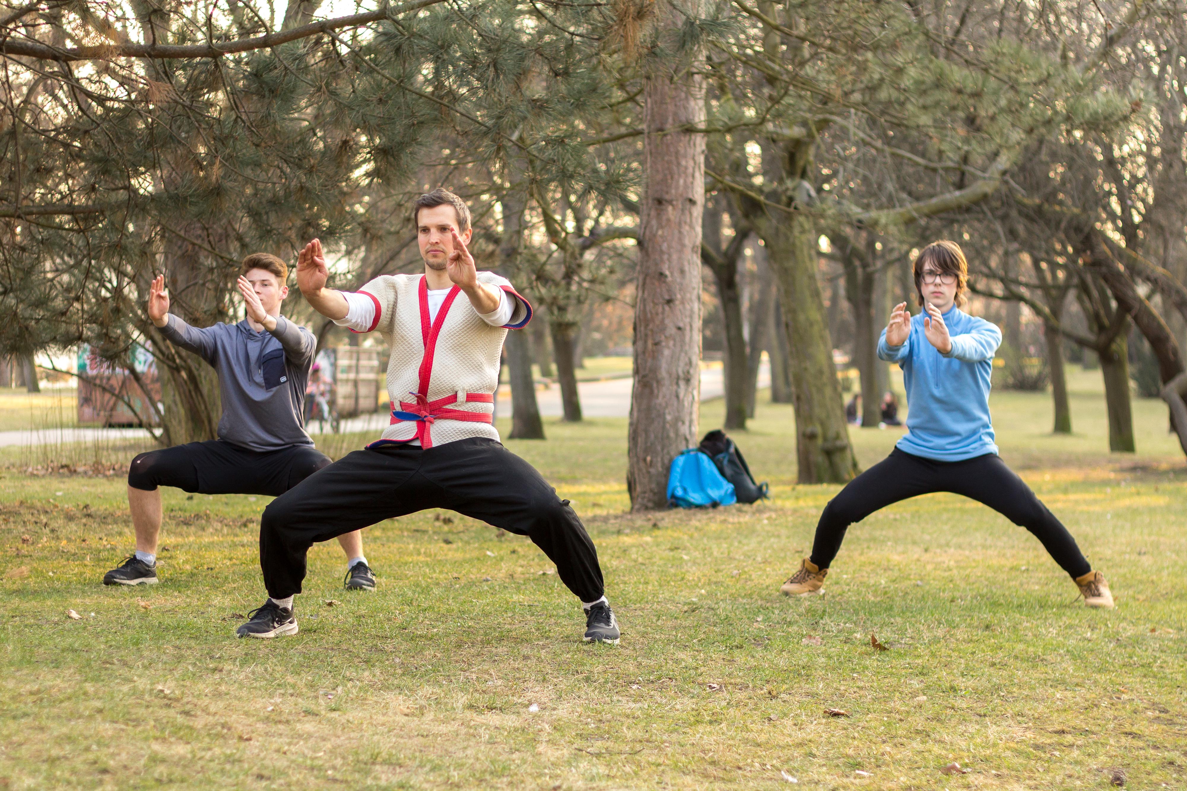 Shaolin kung-fu foto 3