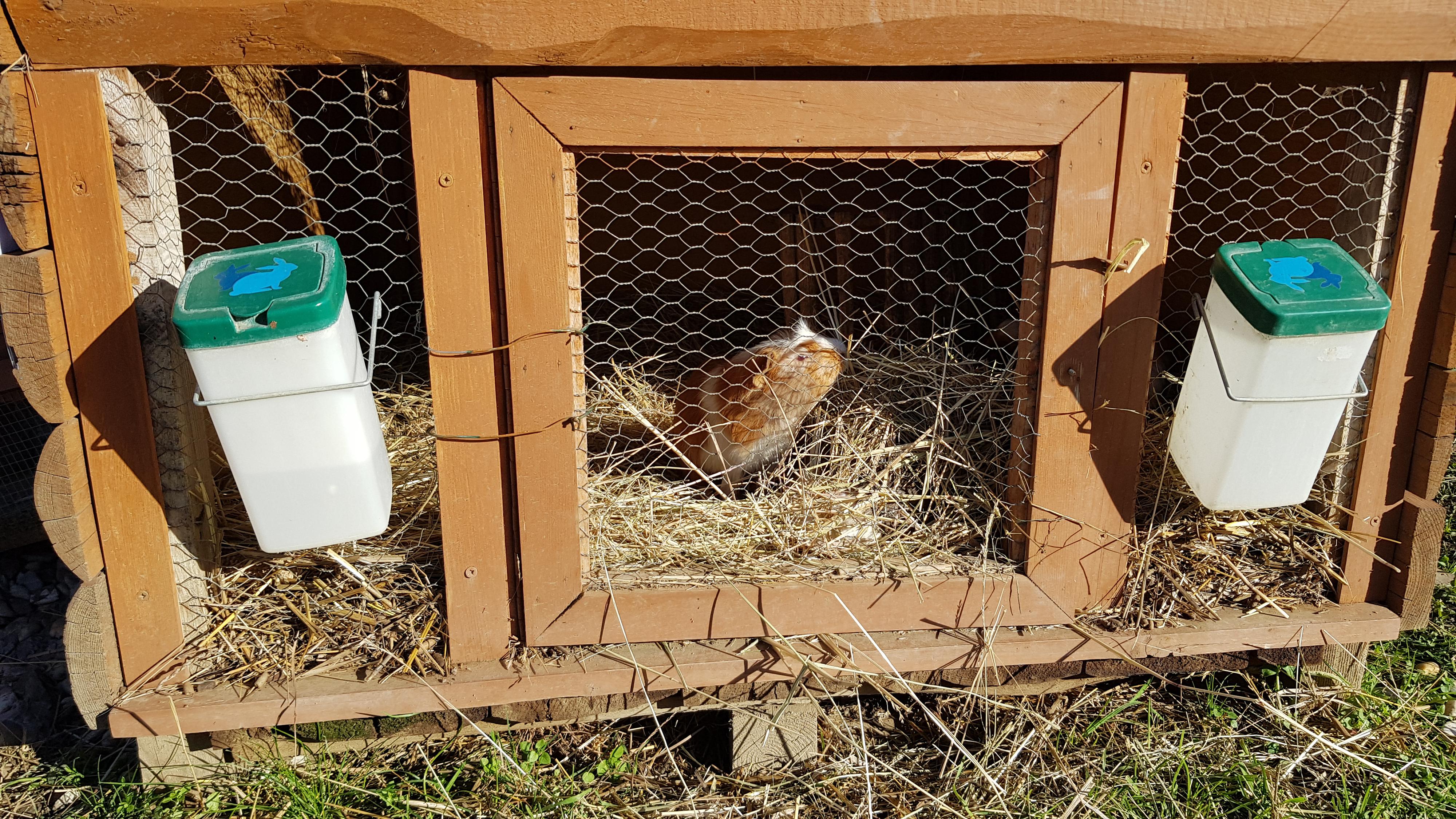 Ranč u Pálenice foto 4