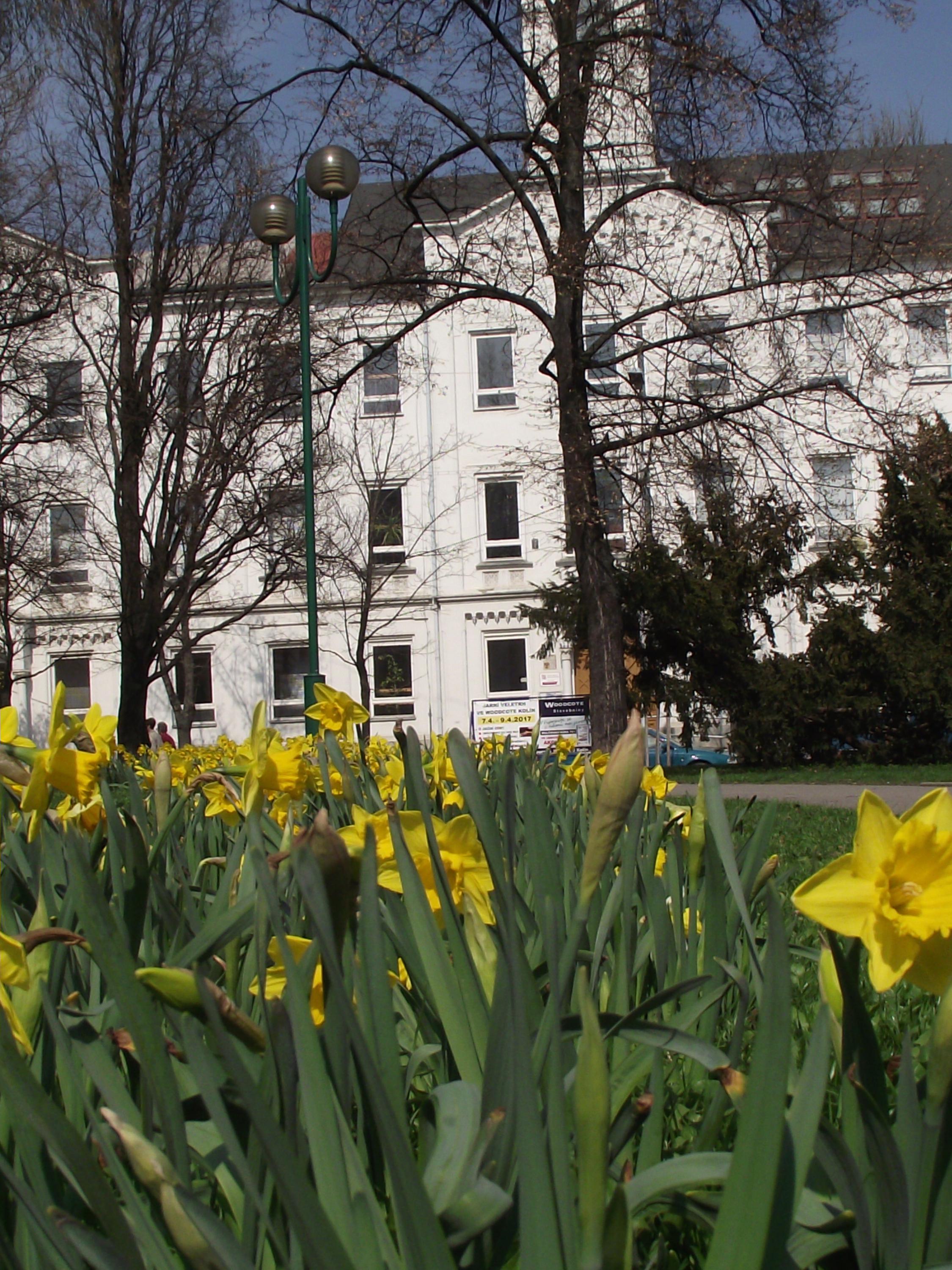 Obchodní akademie Kolín, Kutnohorská foto 6
