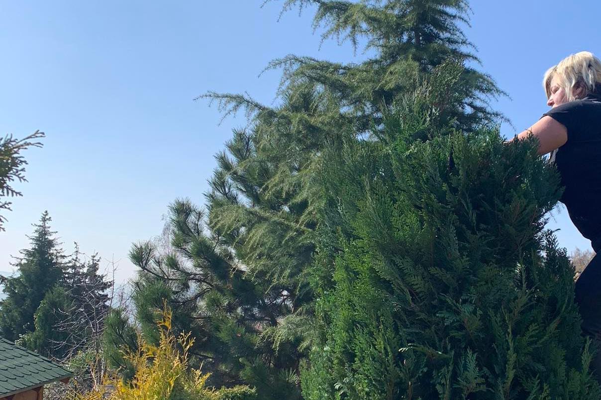 Úklidové služby u parku