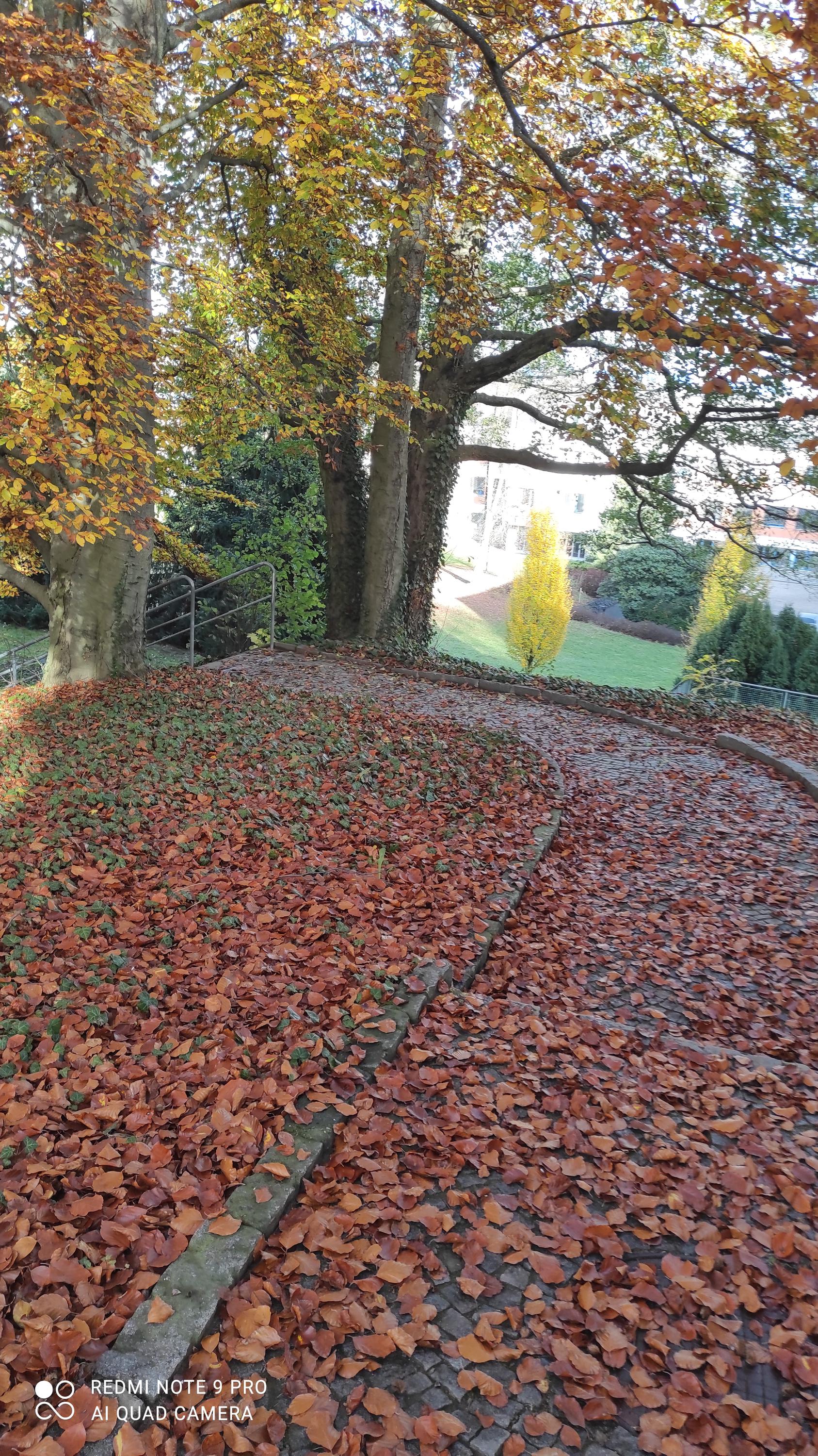 Nemocnice Nové Město na Moravě foto 3