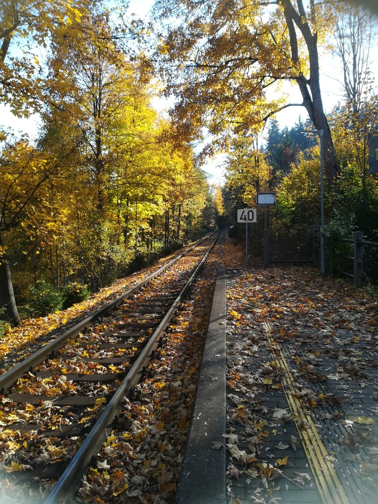 Pension Sněženka foto 5