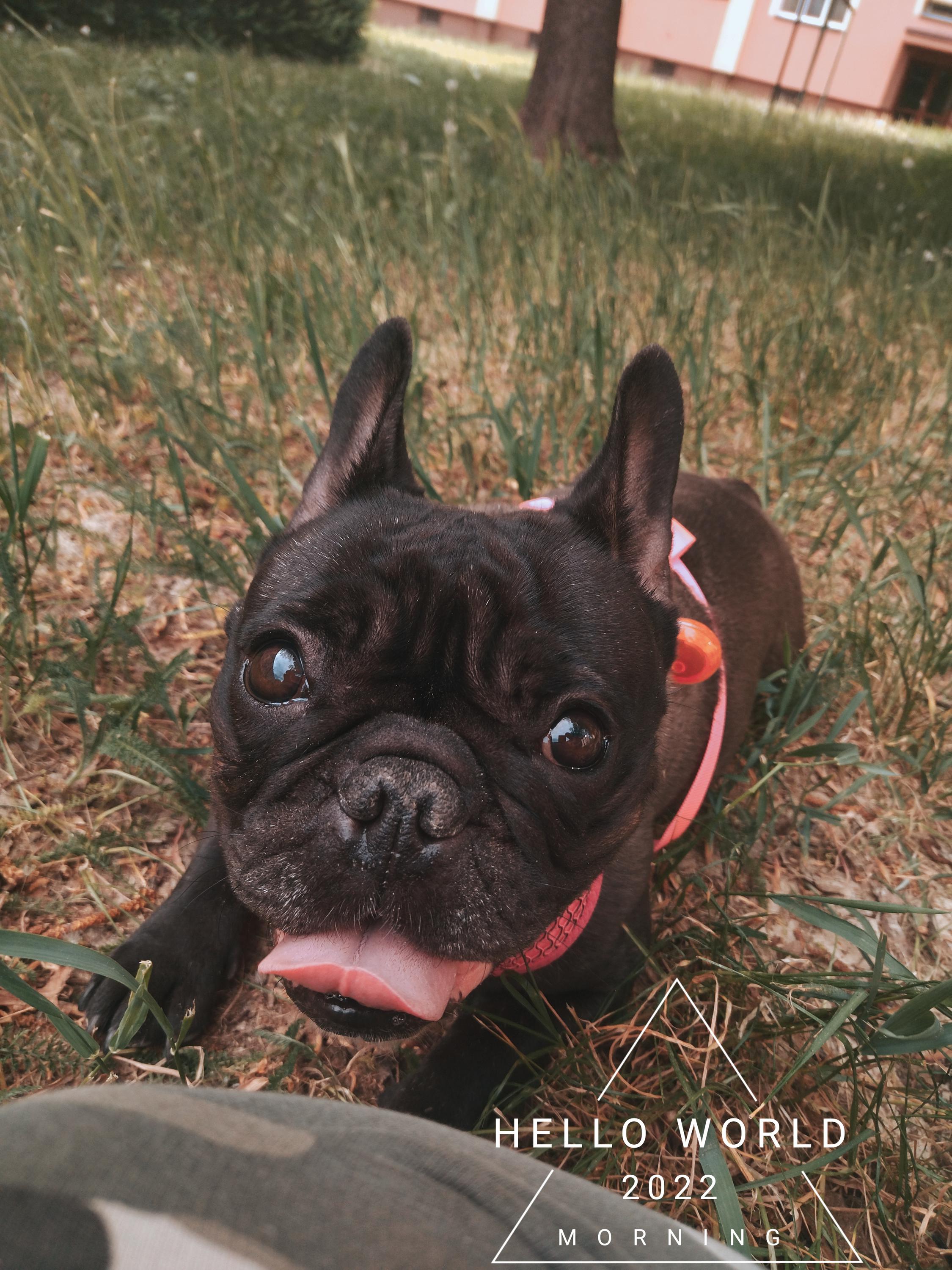 Chovatelské potřeby Futro foto 2