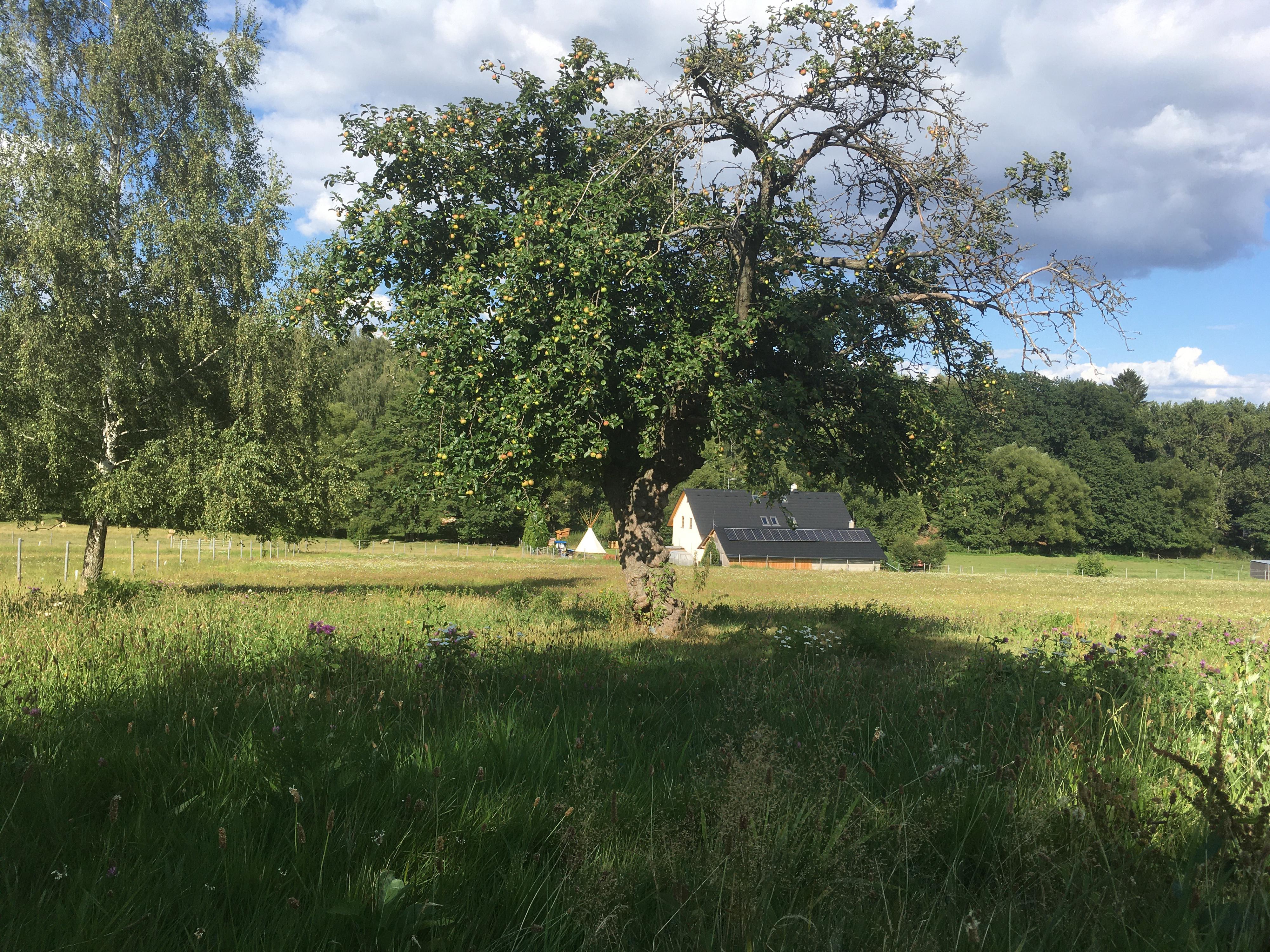 Farma Pod Větrníkem foto 4