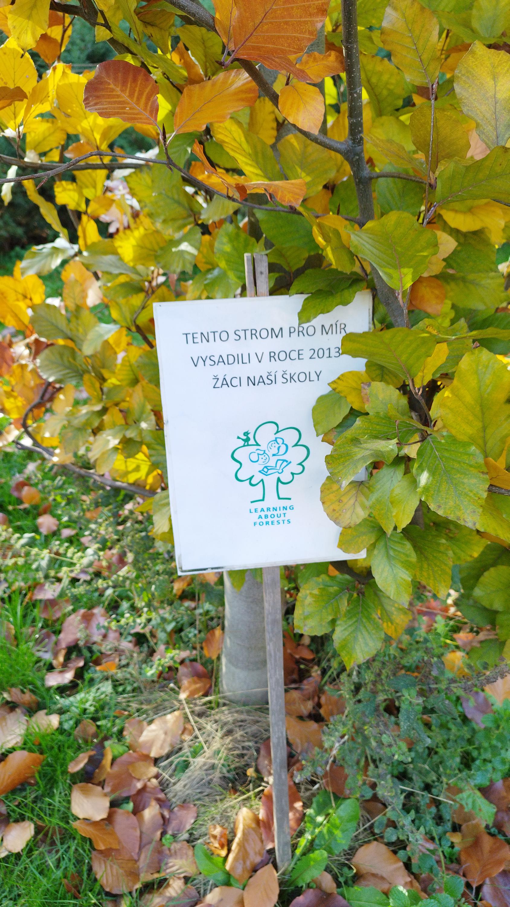 ZŠ, Praha 10, nám. Bratří Jandusů foto 5