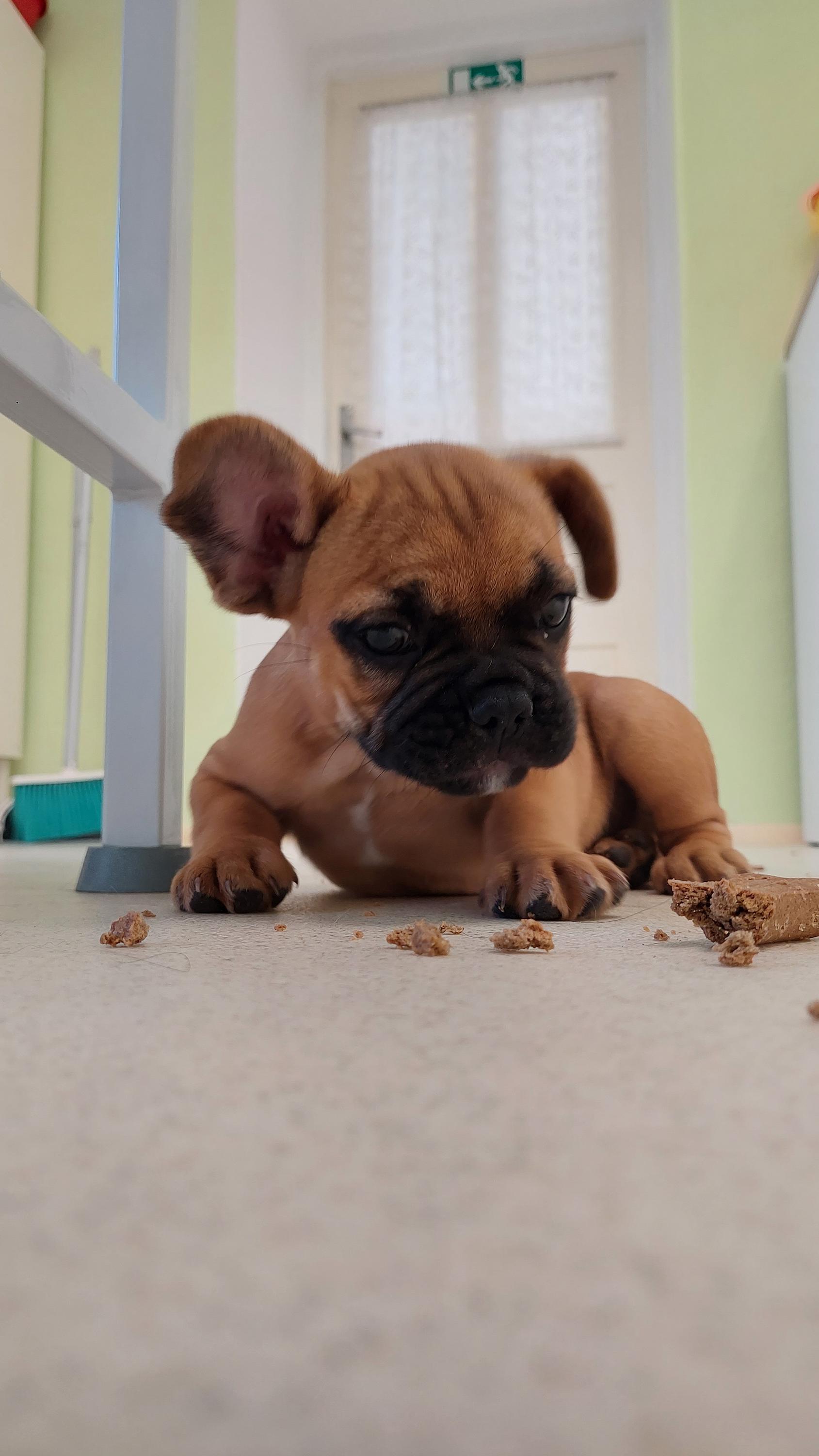 Veterinární ordinace MVDr. Turčinková Karolína foto 6