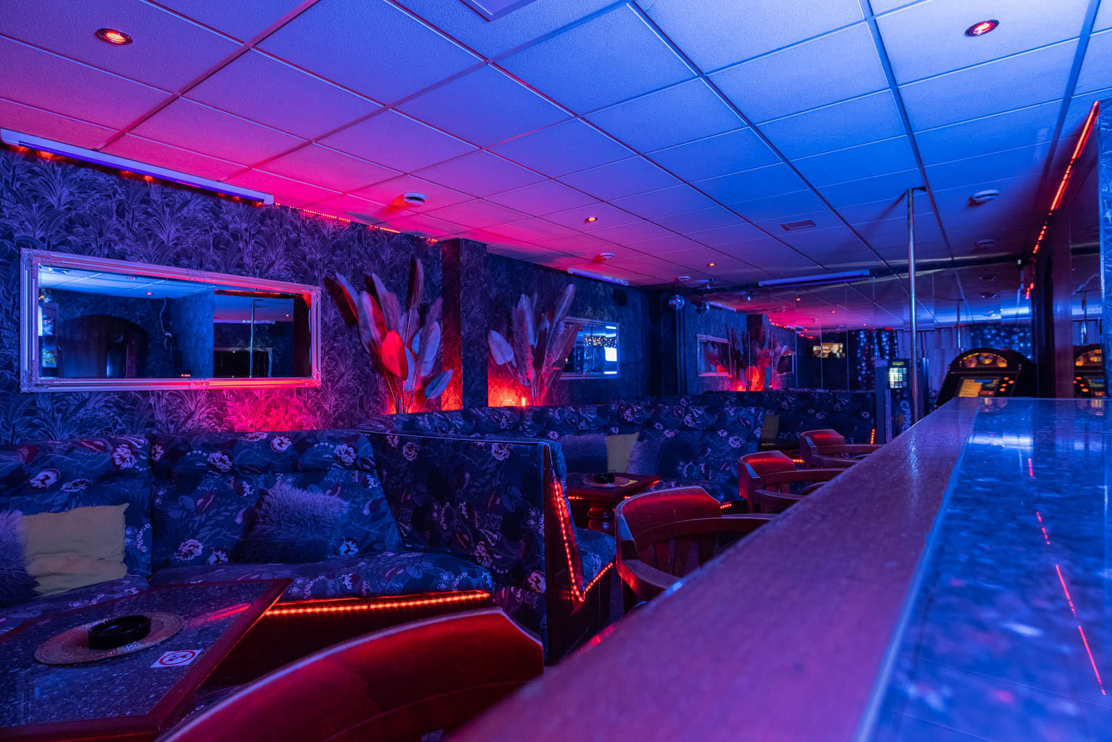 Night Club West foto 3