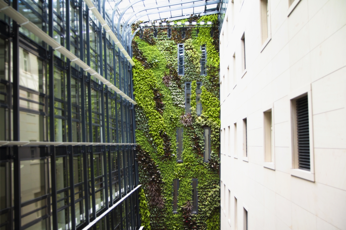 Flora Urbanica, s.r.o. foto 4