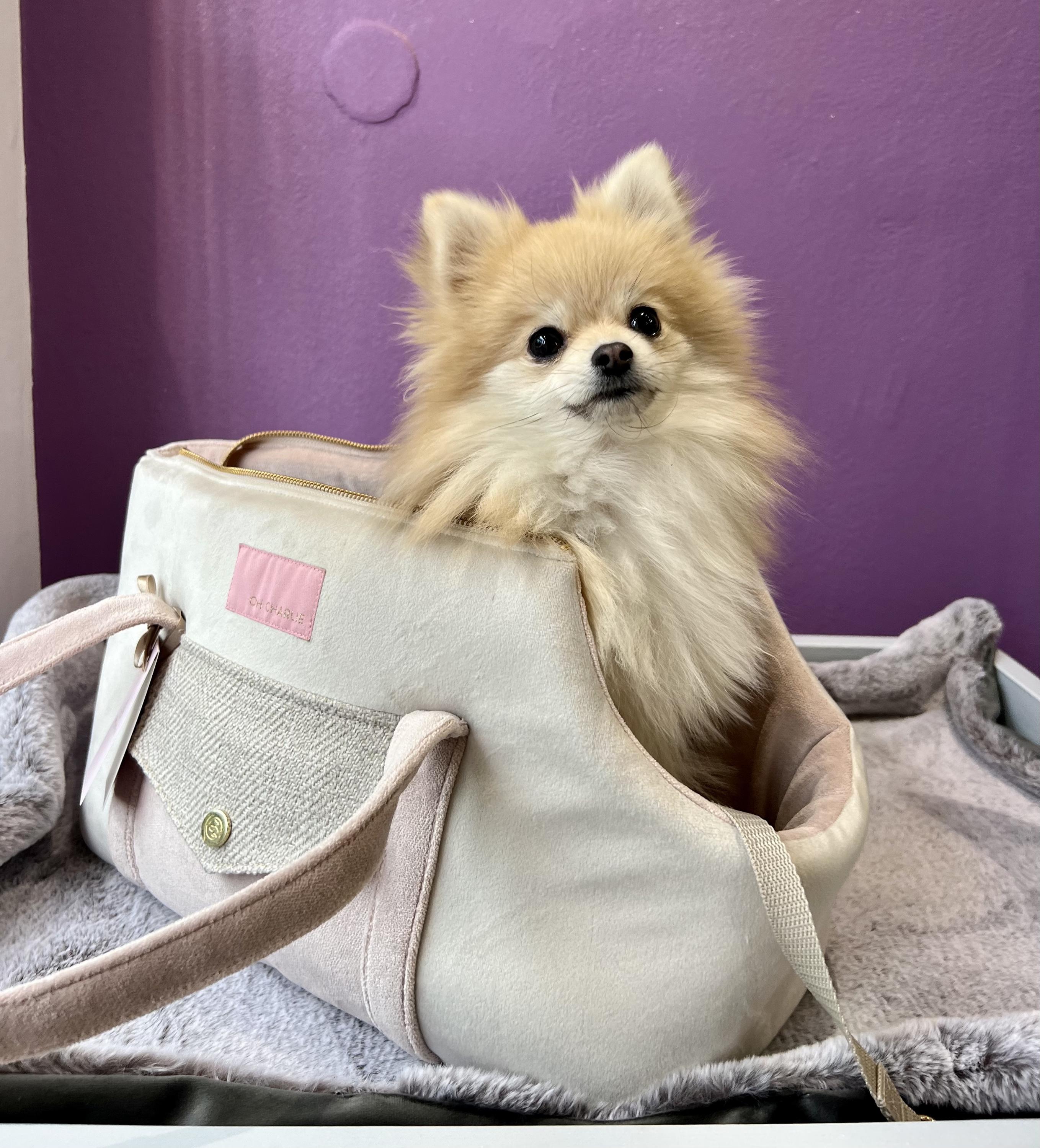 Aldo Sales CZ, s.r.o. foto 4