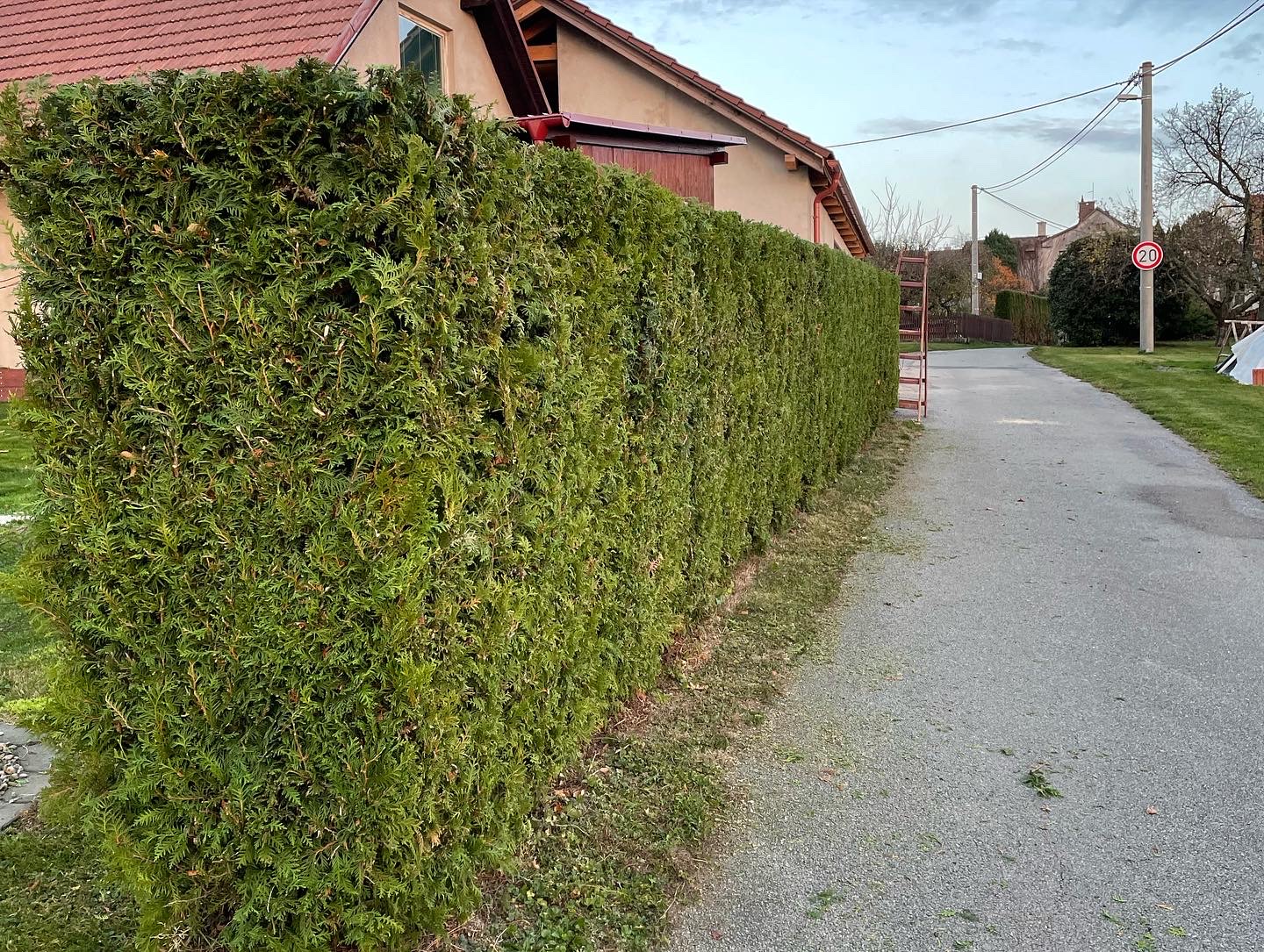 Stříhání živých plotů, udržba zeleně