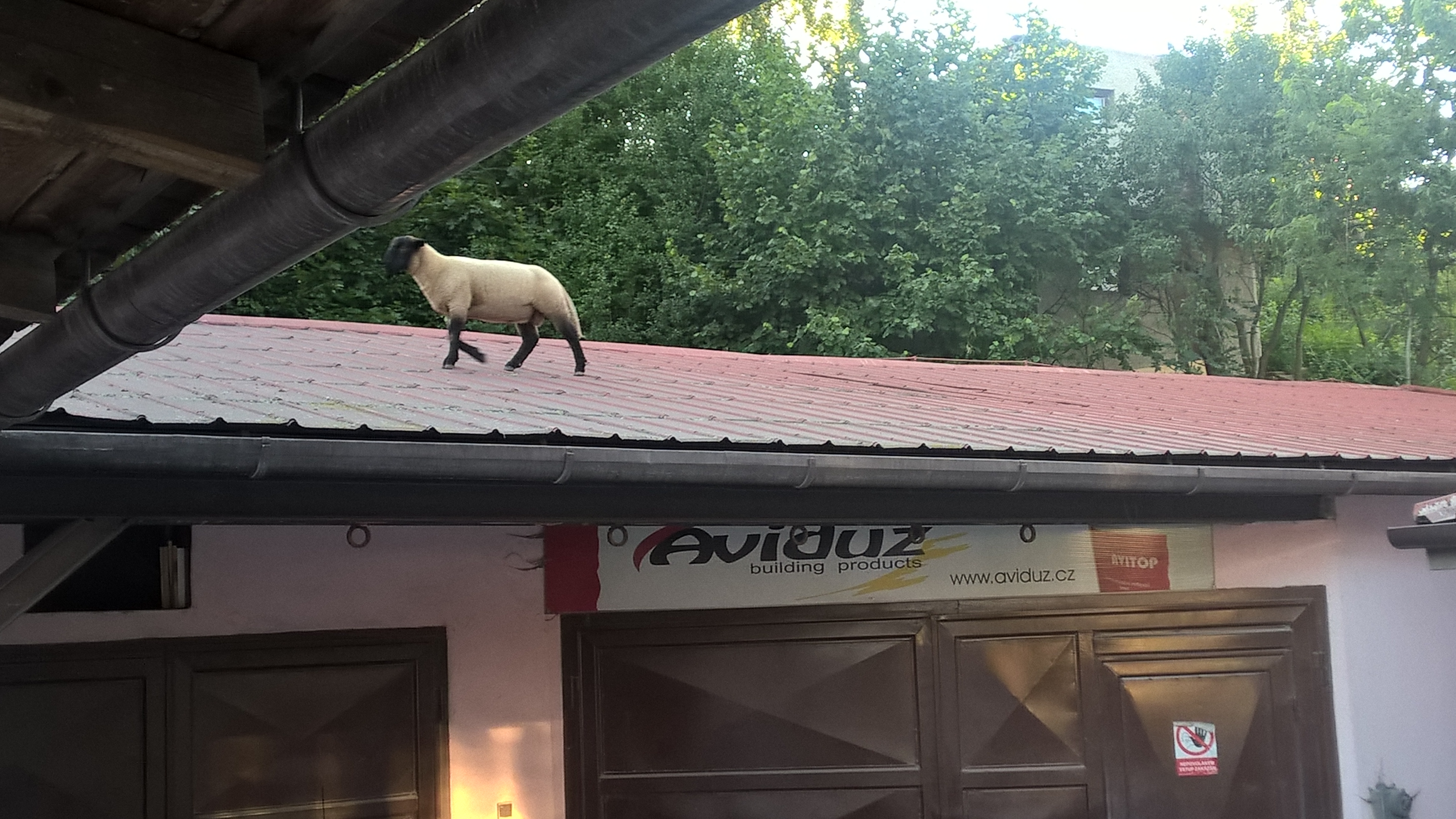 Autolakovna Přikryl foto 2