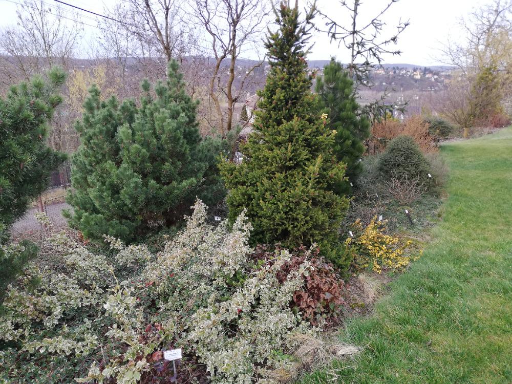 ARBORETUM VŠENORY foto 5