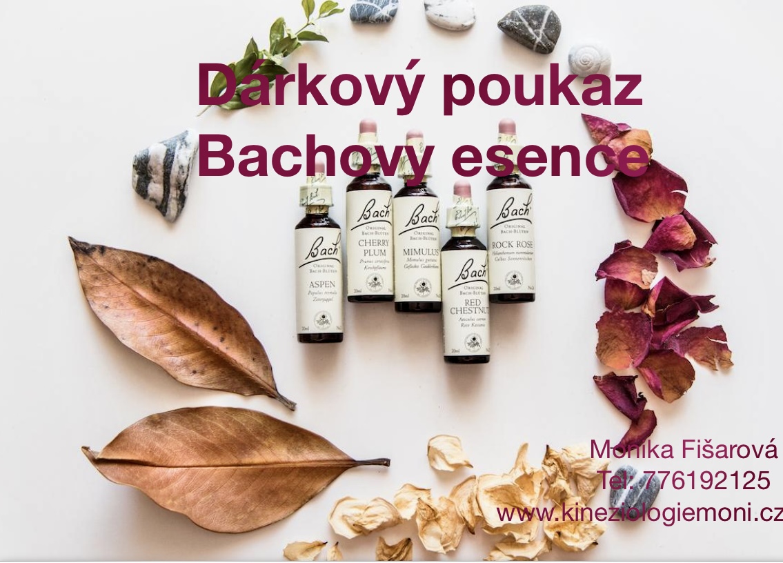 Kineziologie One Brain foto 2