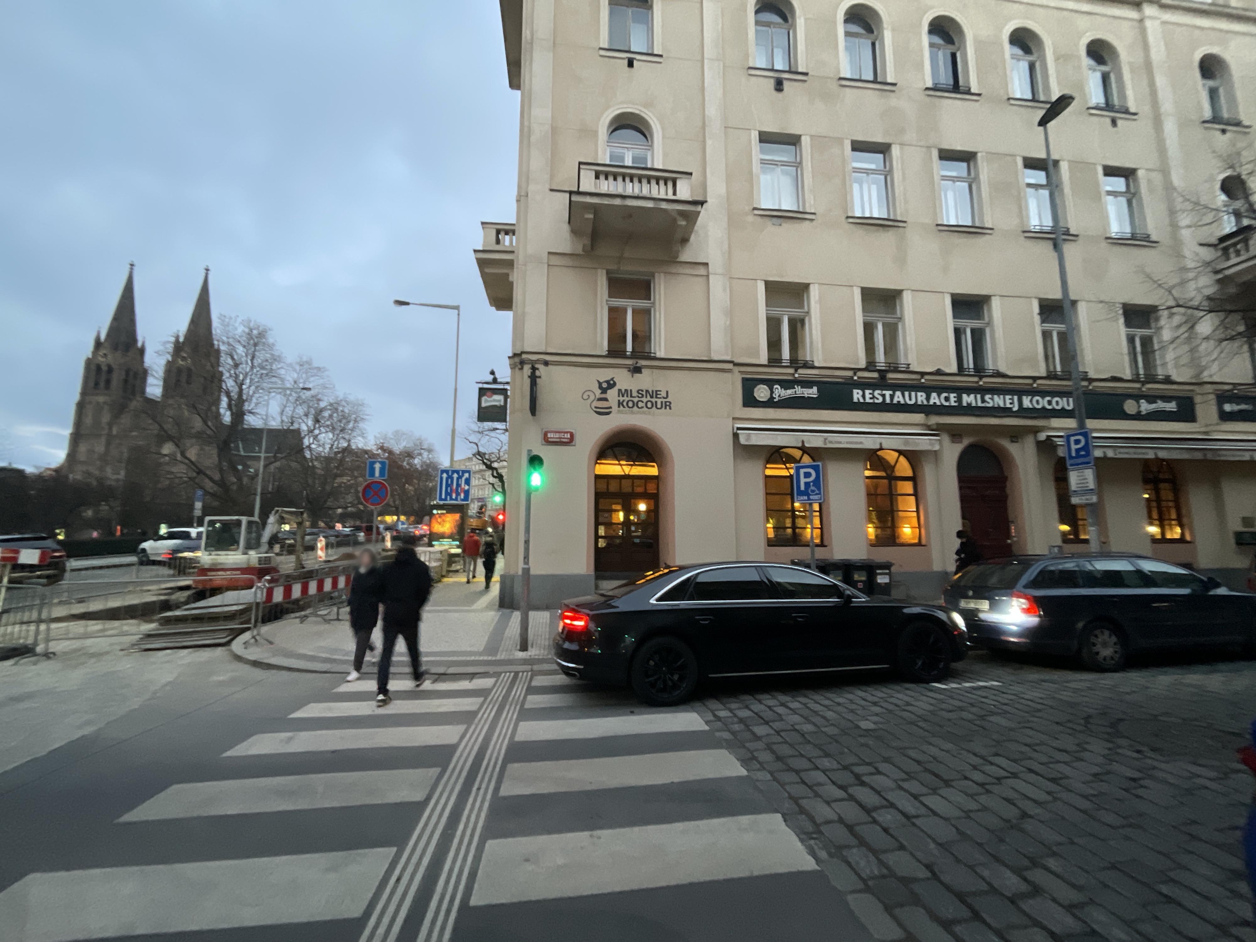 Mlsnej Kocour foto 5