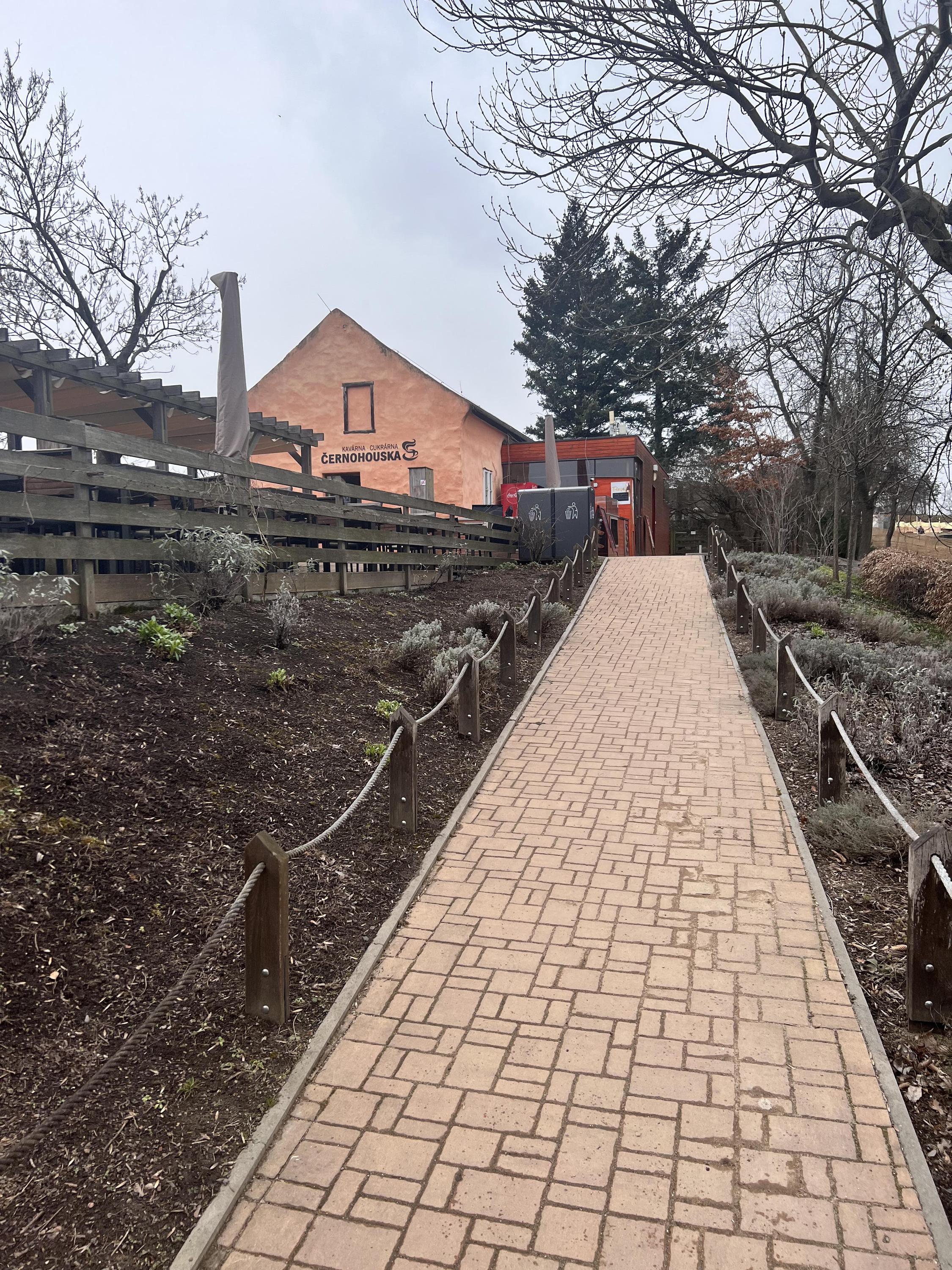 Kavárna a cukrárna Černohouska foto 5