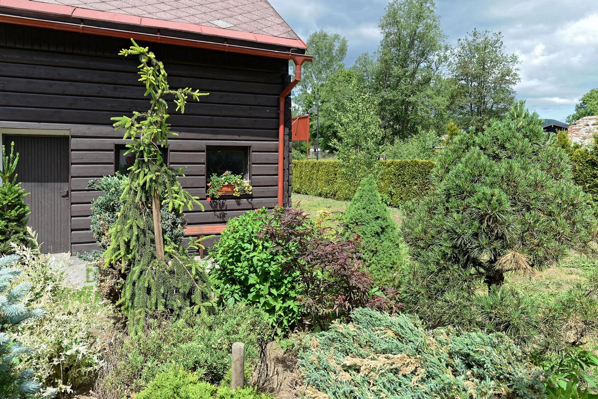 Údržba zeleně Trojan Zdeněk foto 4